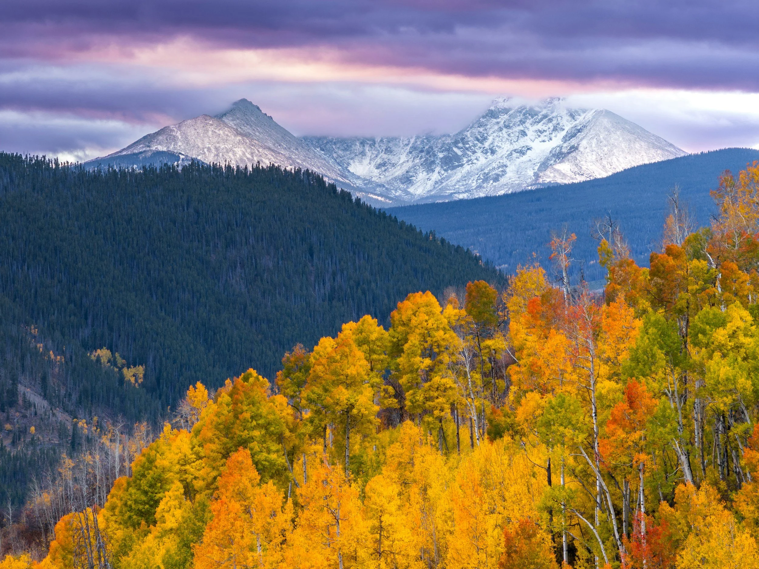 A landscape of snow-capped mountains in the distance, dense green forests, and a colorful forest of yellow, orange, and red autumn trees in the foreground under a cloudy sky.