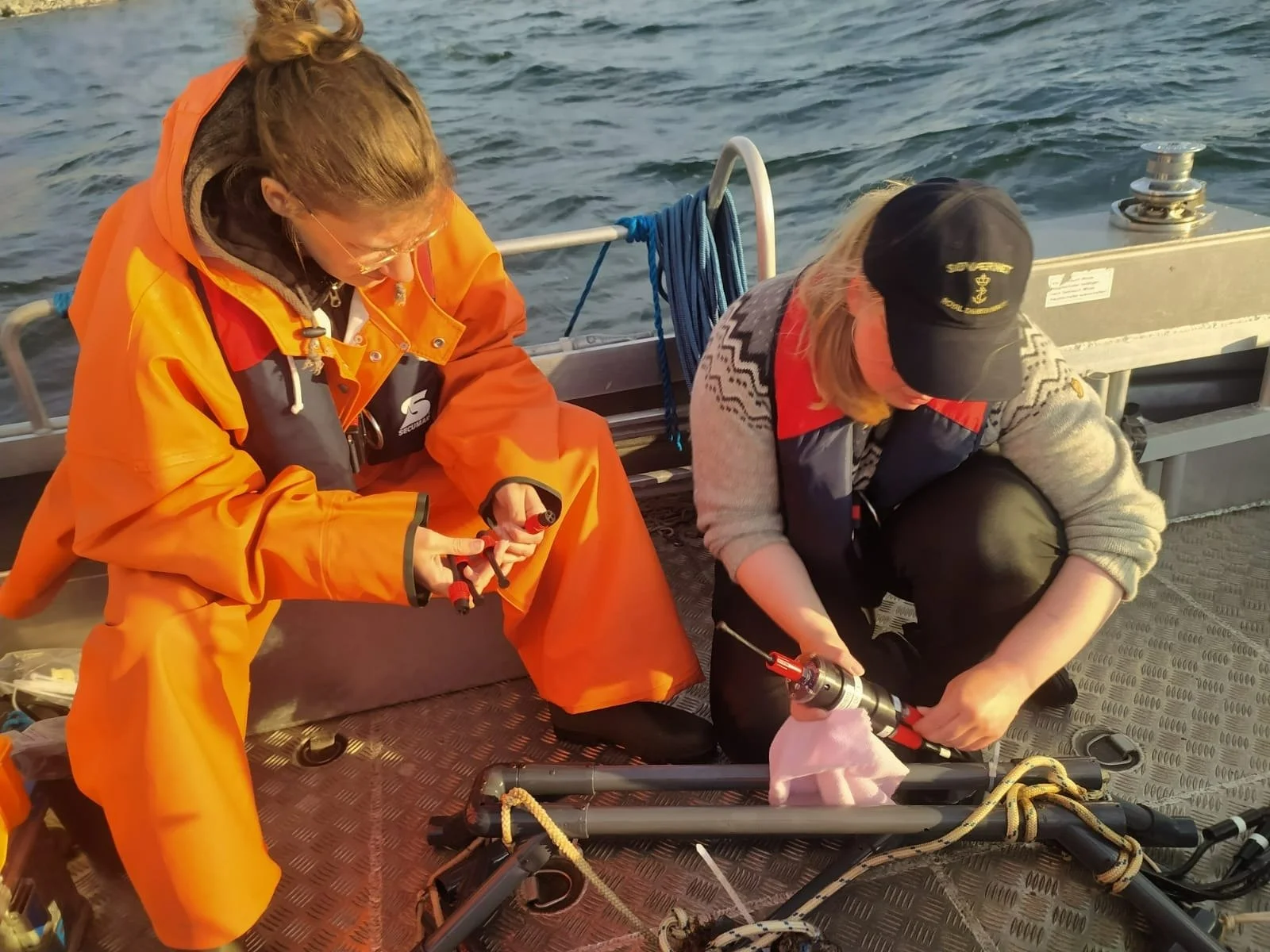 Porpoise Alert Devices Research Project