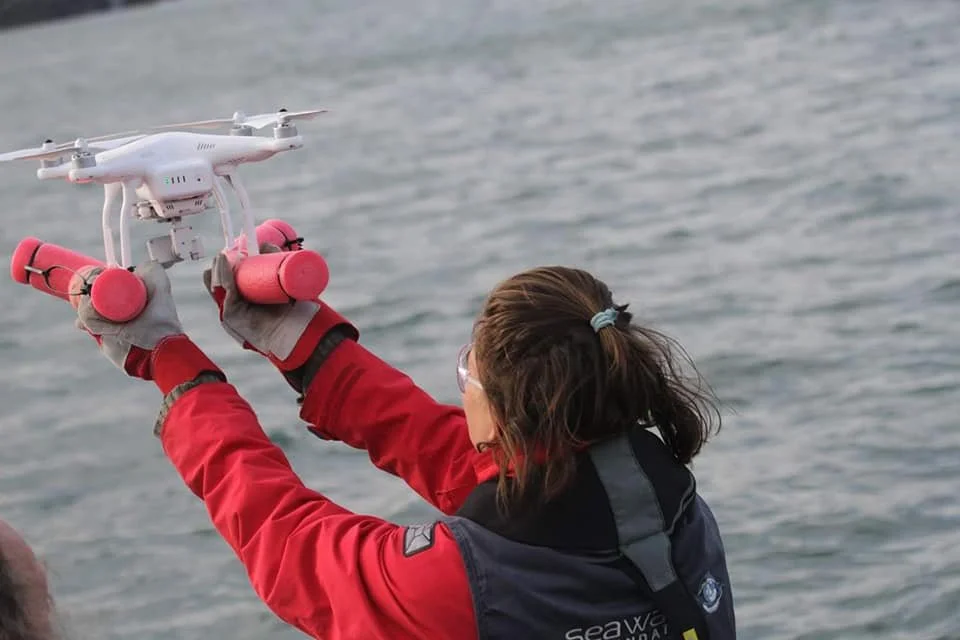 SeaWatch - Cardigan Bay