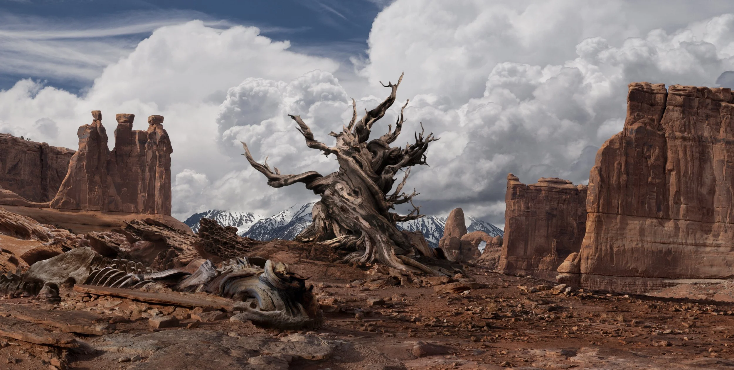 The Mother Tree