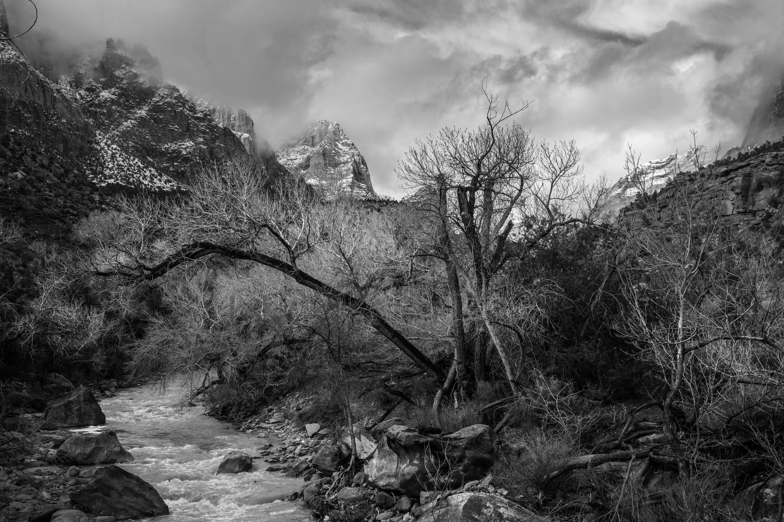 Zion, Utah 2022