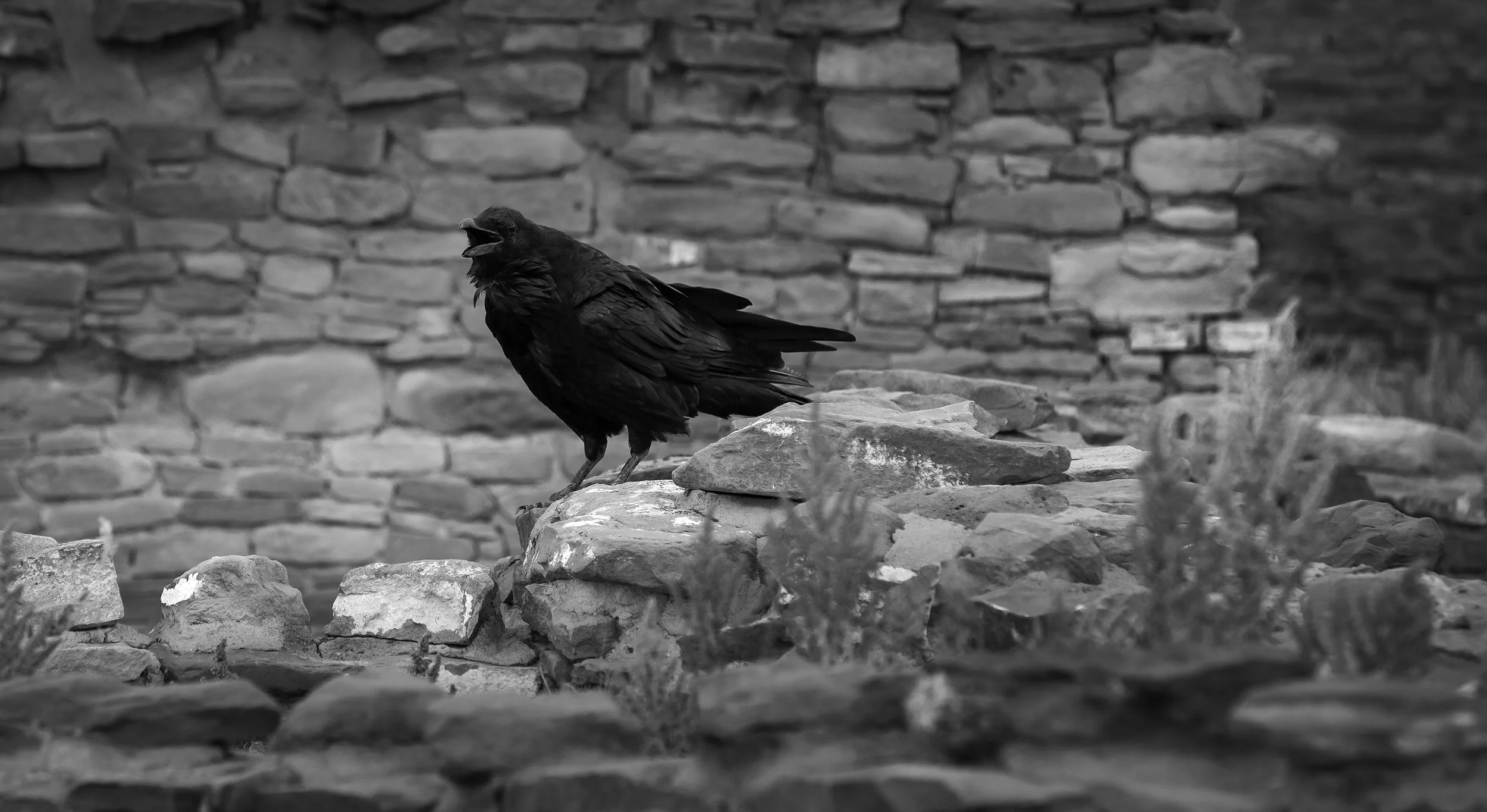 Chaco Canyon, NewMexico #32024