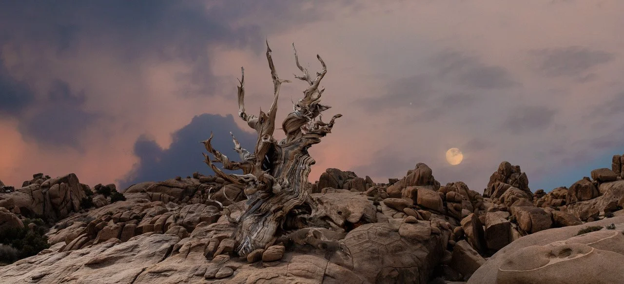 Moonrise