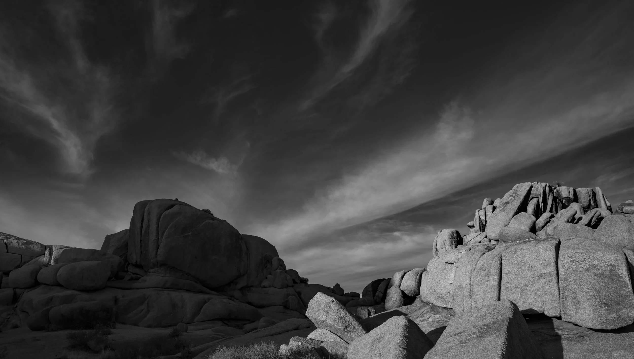 Joshua Tree, California 2024