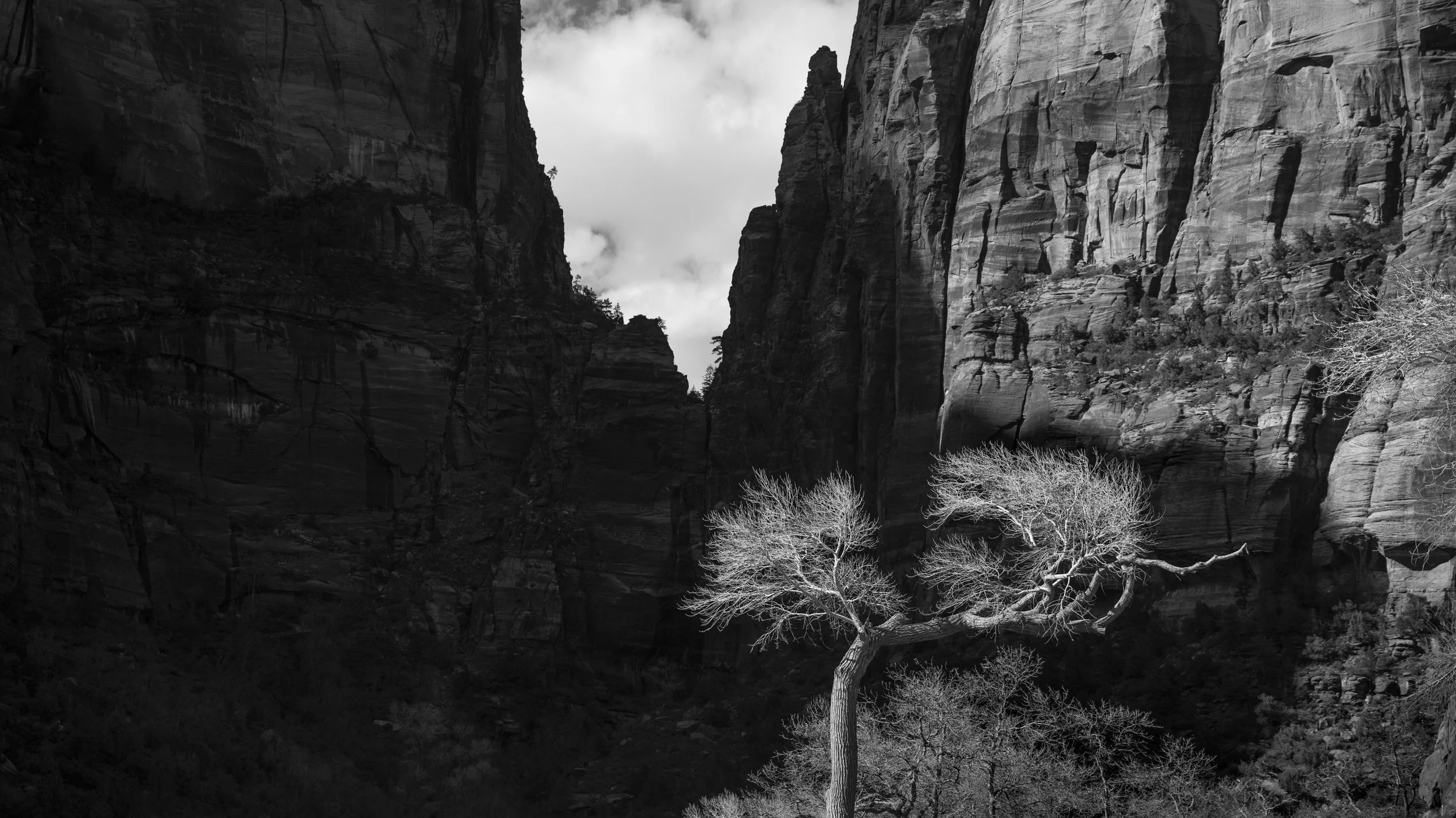 Zion ,Utah 2023
