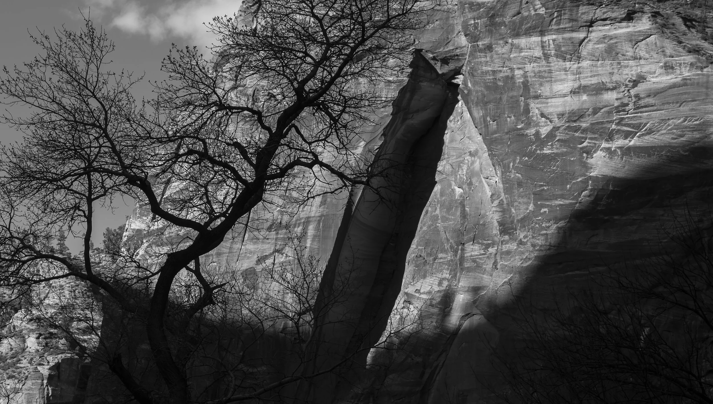 Zion, Utah 2024