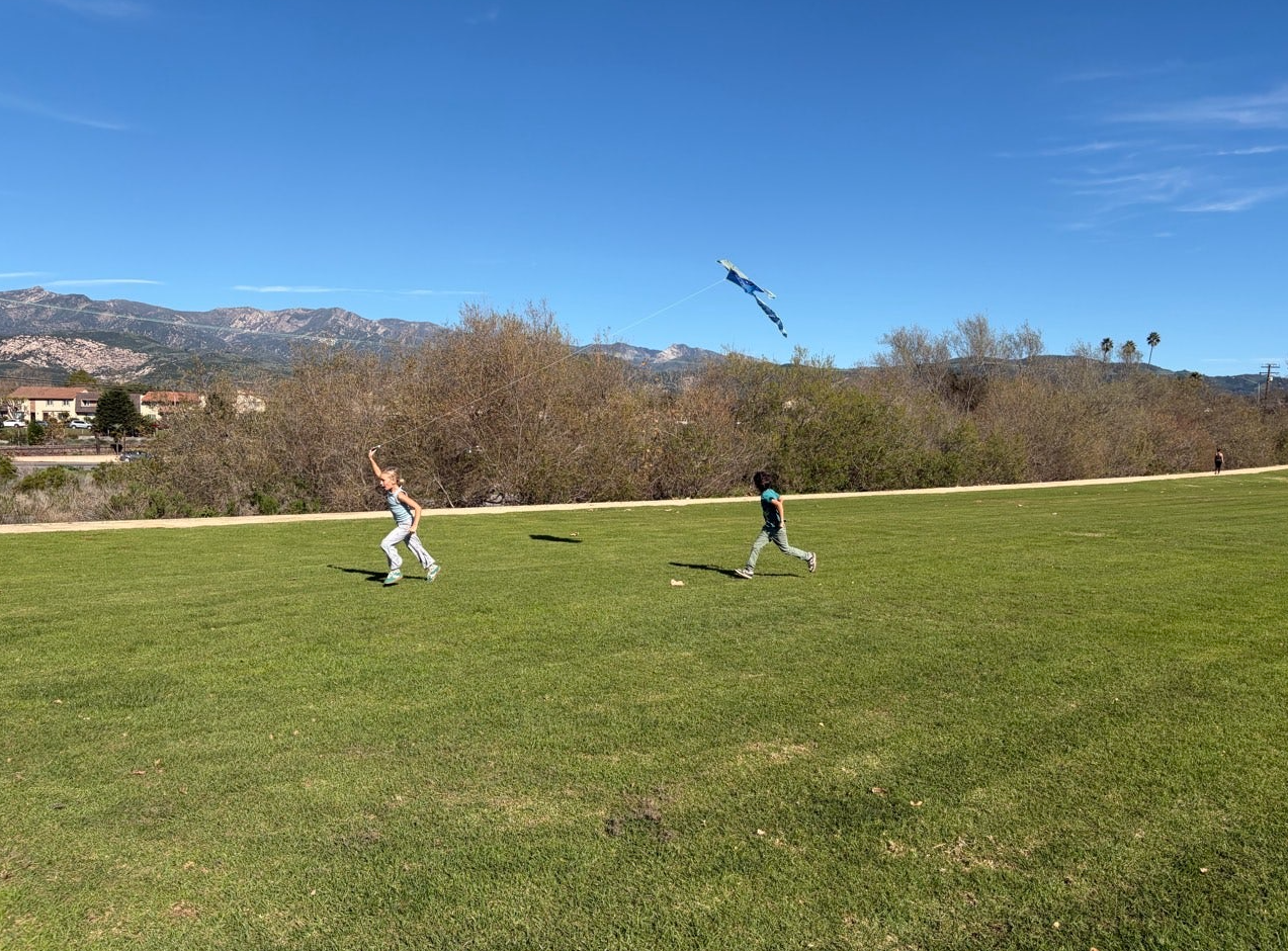 Two children running on a grassy field flying a kite on a sunny day with mountains and trees in the background.