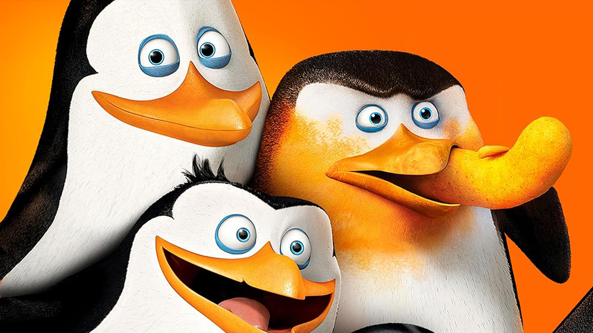 Three animated penguins with orange beaks and blue eyes standing against an orange background.