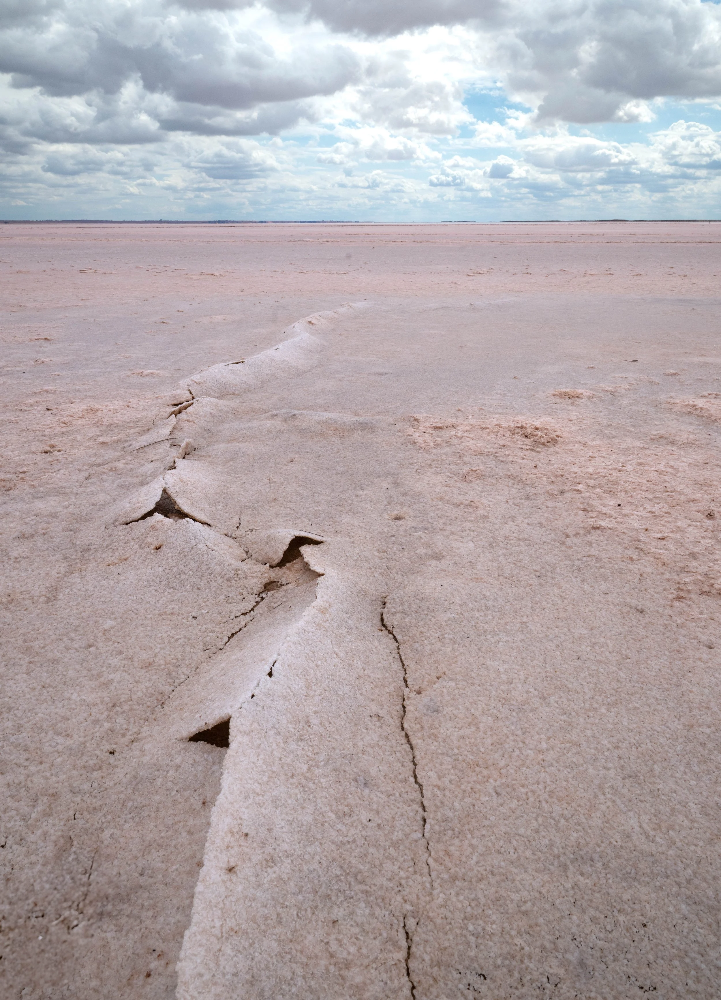 NZ8_1843_01-6 - Copy.jpg