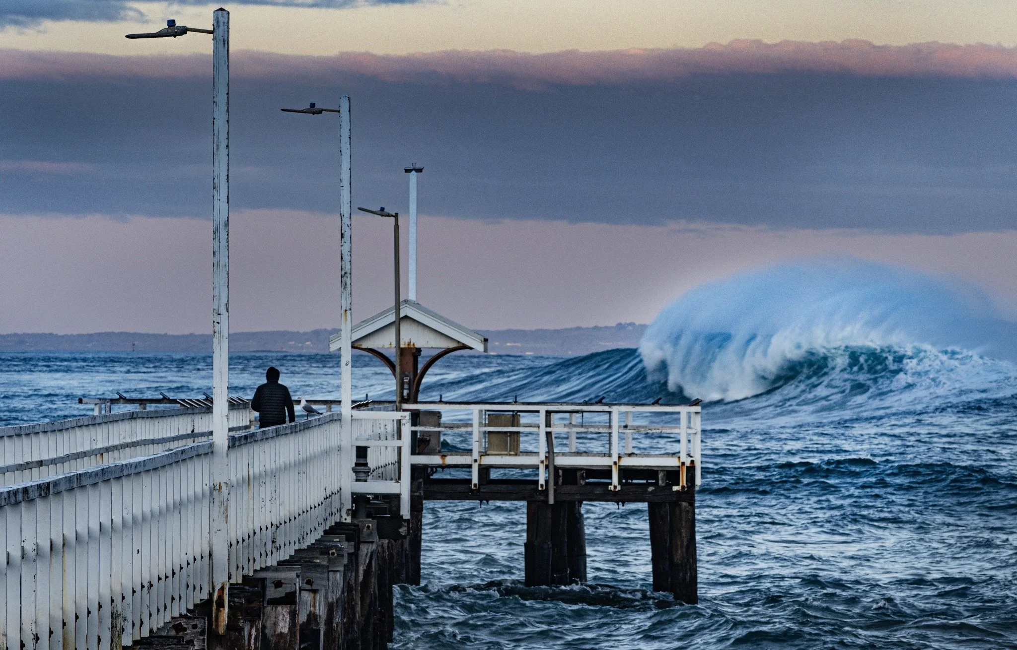 The Bellarine Peninsula 1 Day Photography Tour