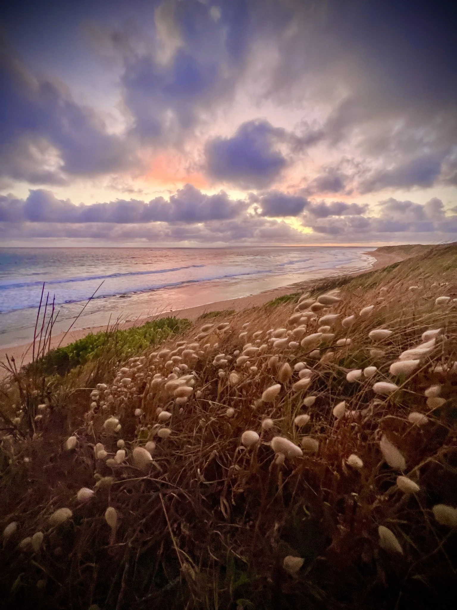 328145821_891950198664622_7593895116738248582_n.jpg (Copy)