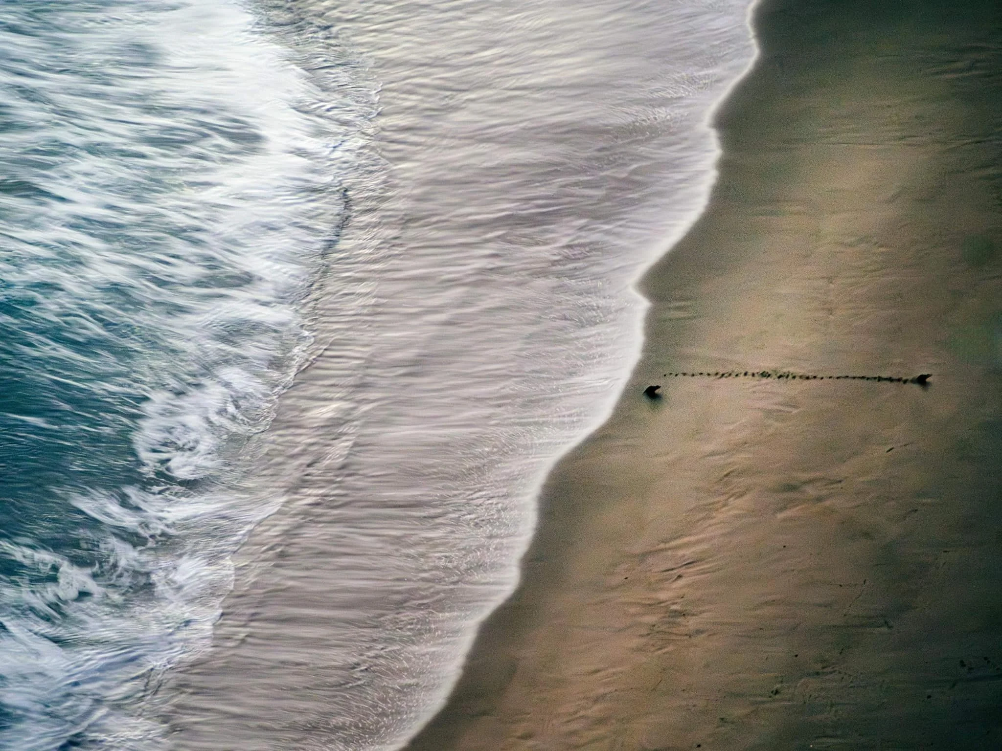 362653052_762633792532019_8571887119589913123_n - Copy.jpg