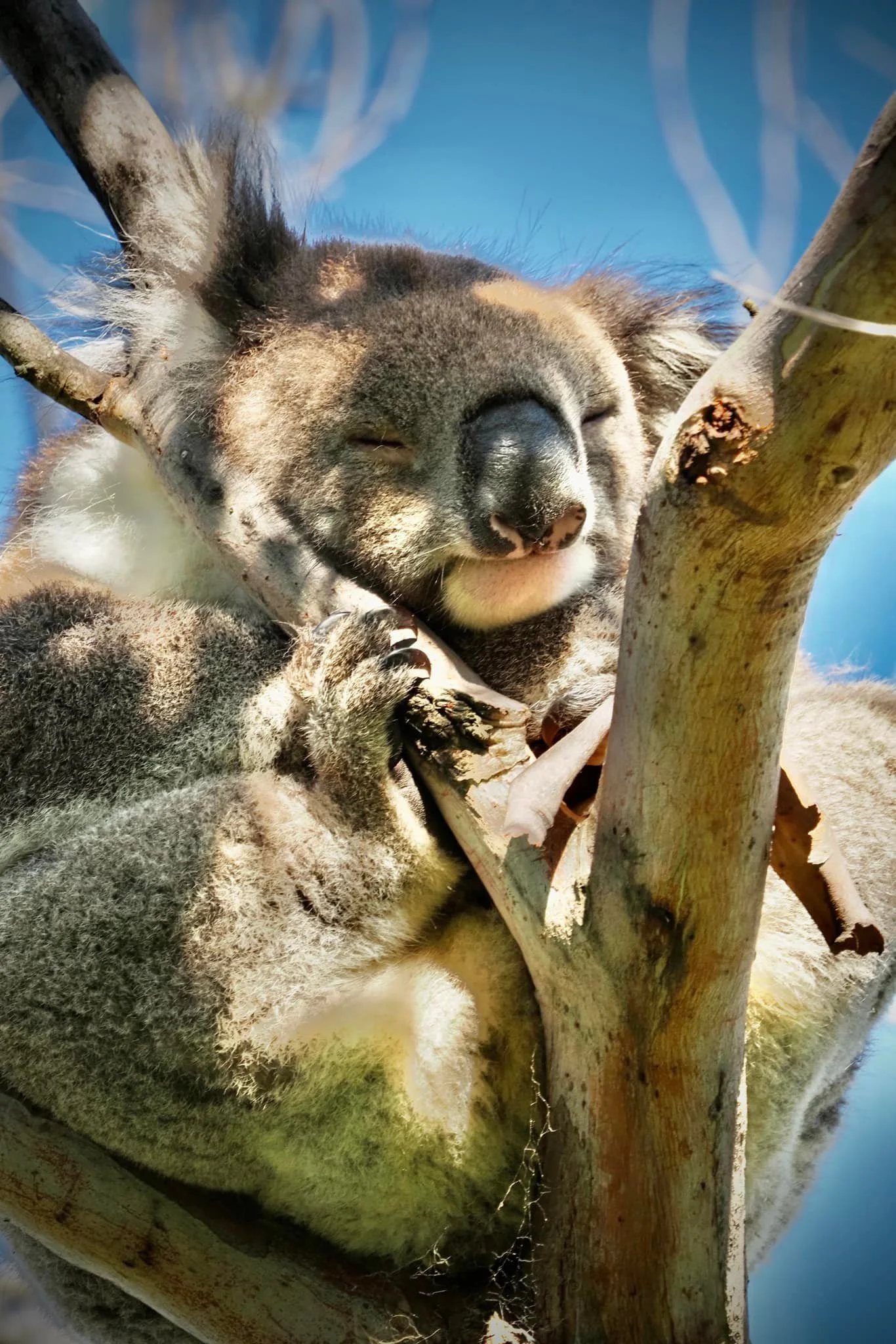 330847344_161228639704171_4223492879842584677_n - Copy.jpg