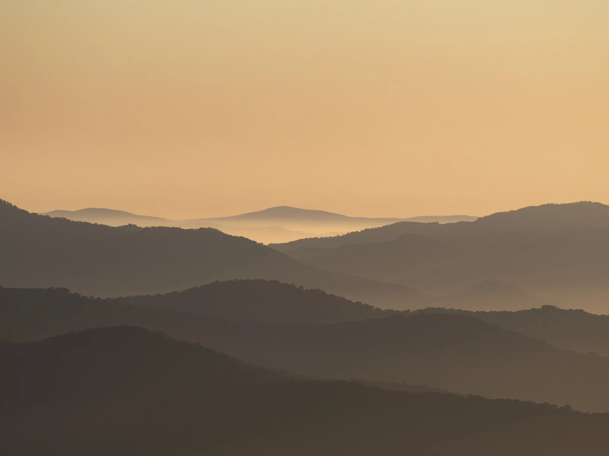 AAAAAAAAAAAAAAAAAAAAAAAAAAAAAAA - Copy.jpg