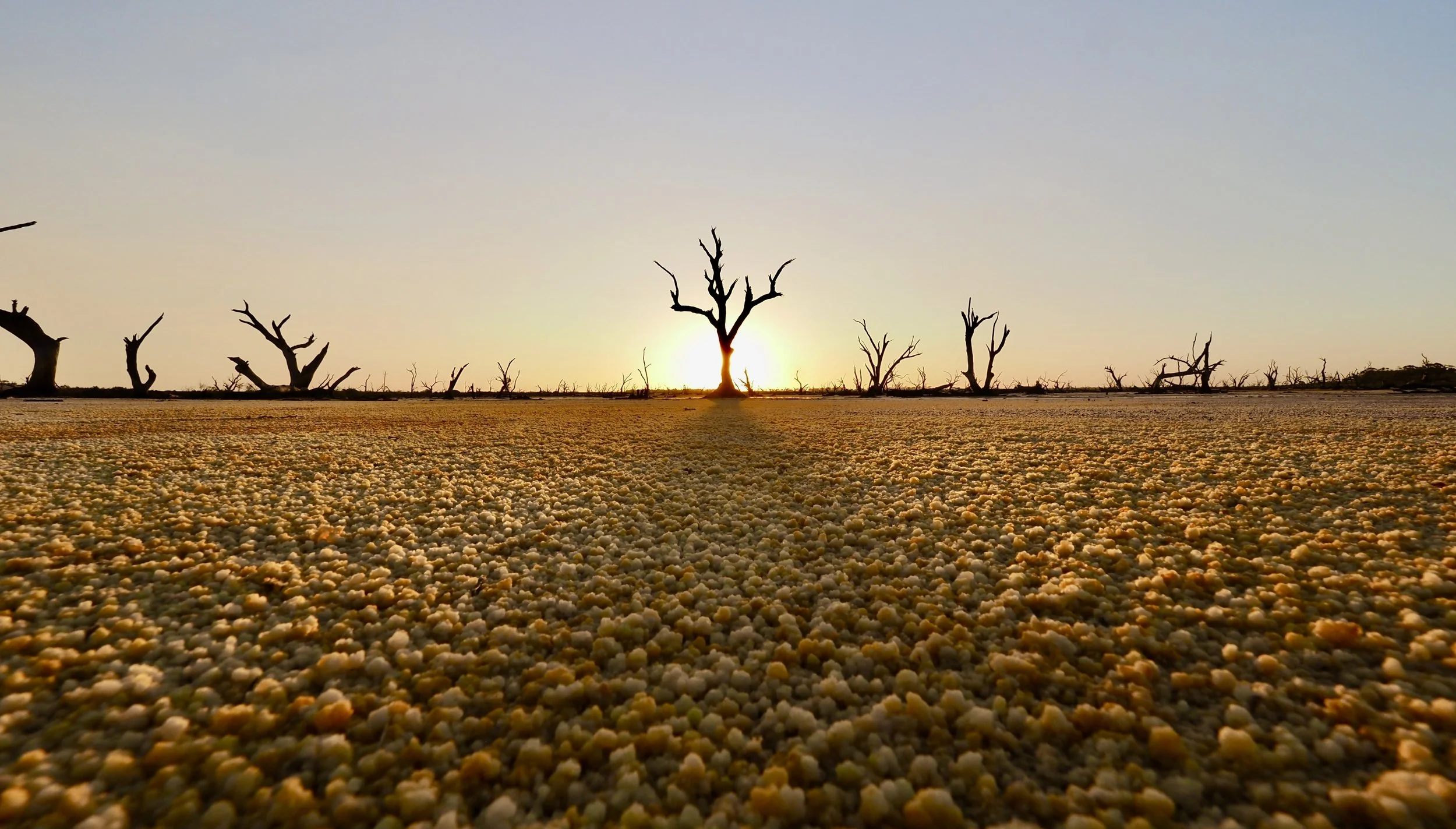 The Mallee - 2026 and 2027 Dates released soon!