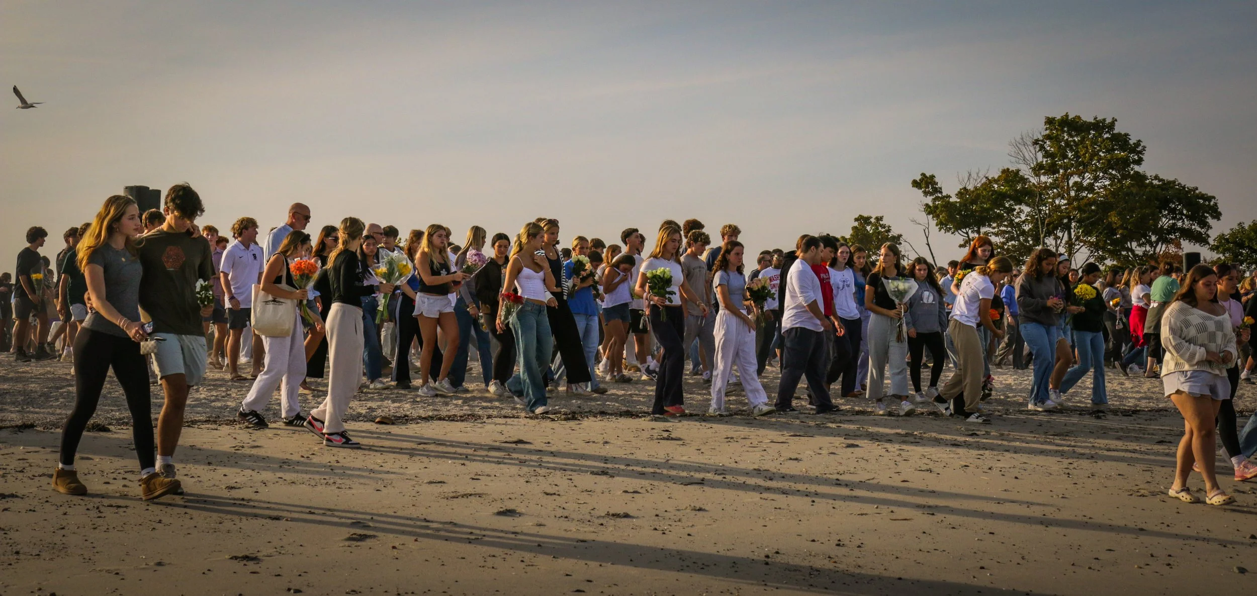 img_7175 edit-13.jpg