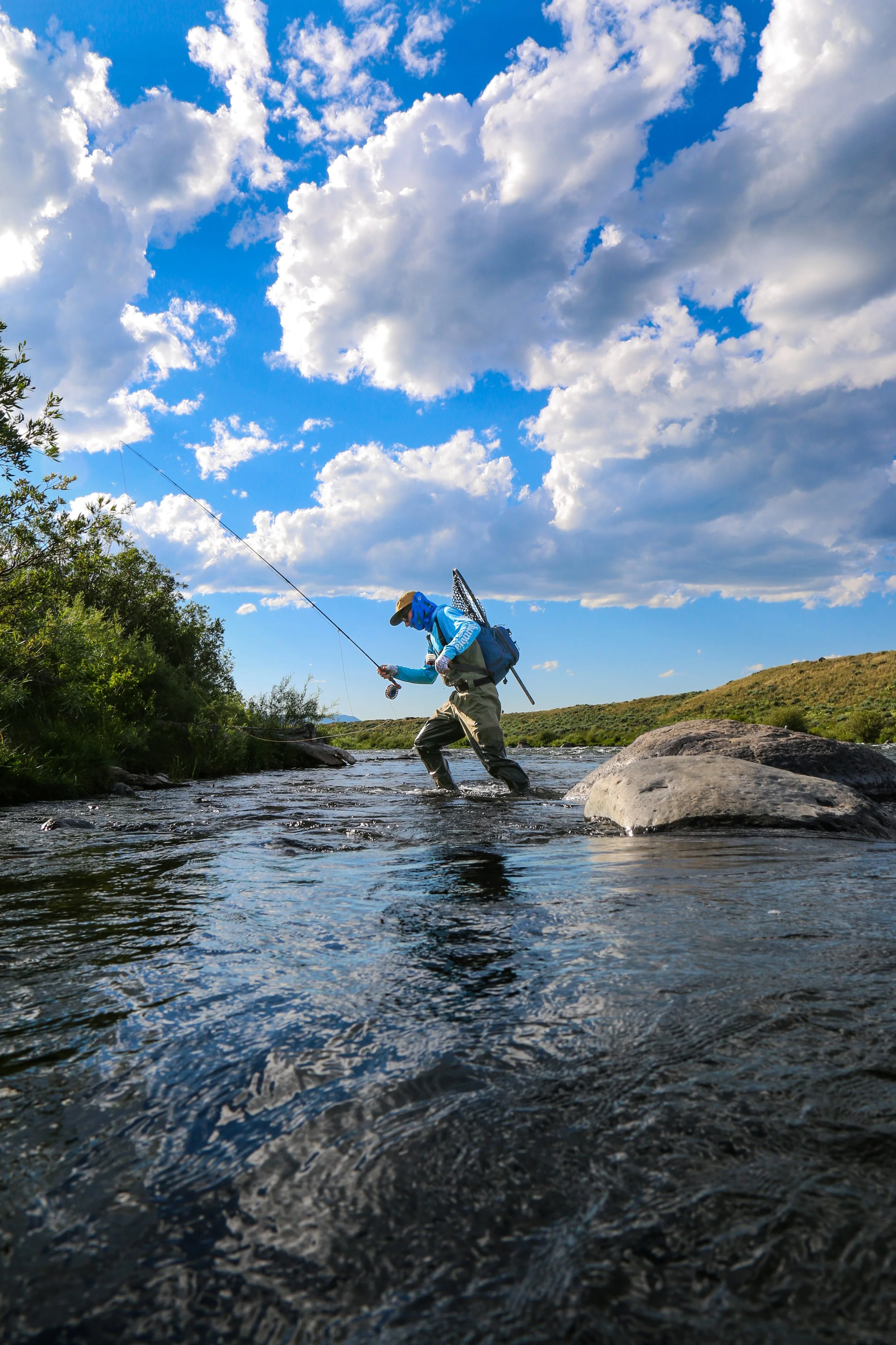 Chasing Currents.jpg