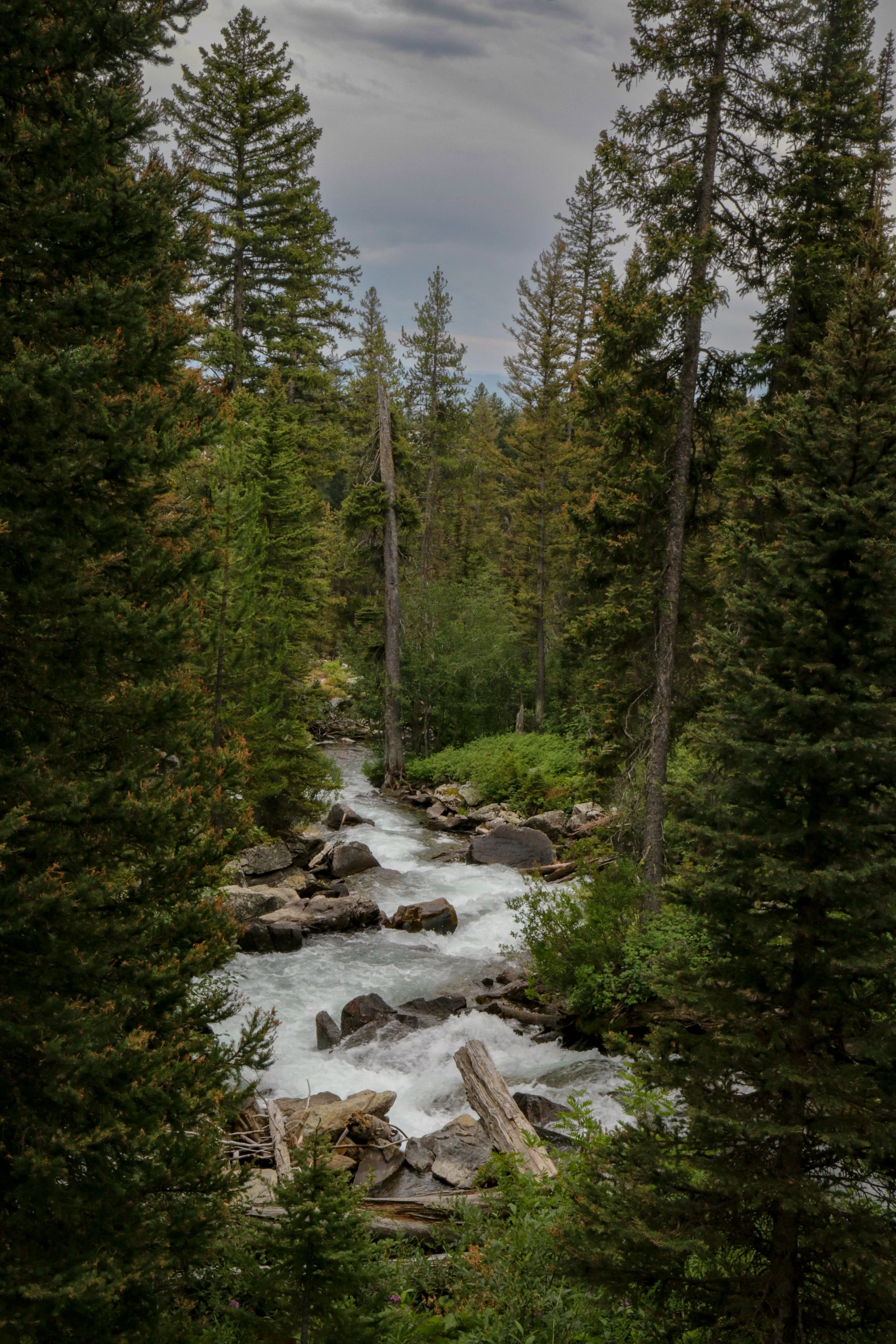 "Cascade Flow" – Grand Teton National Park, Wyoming