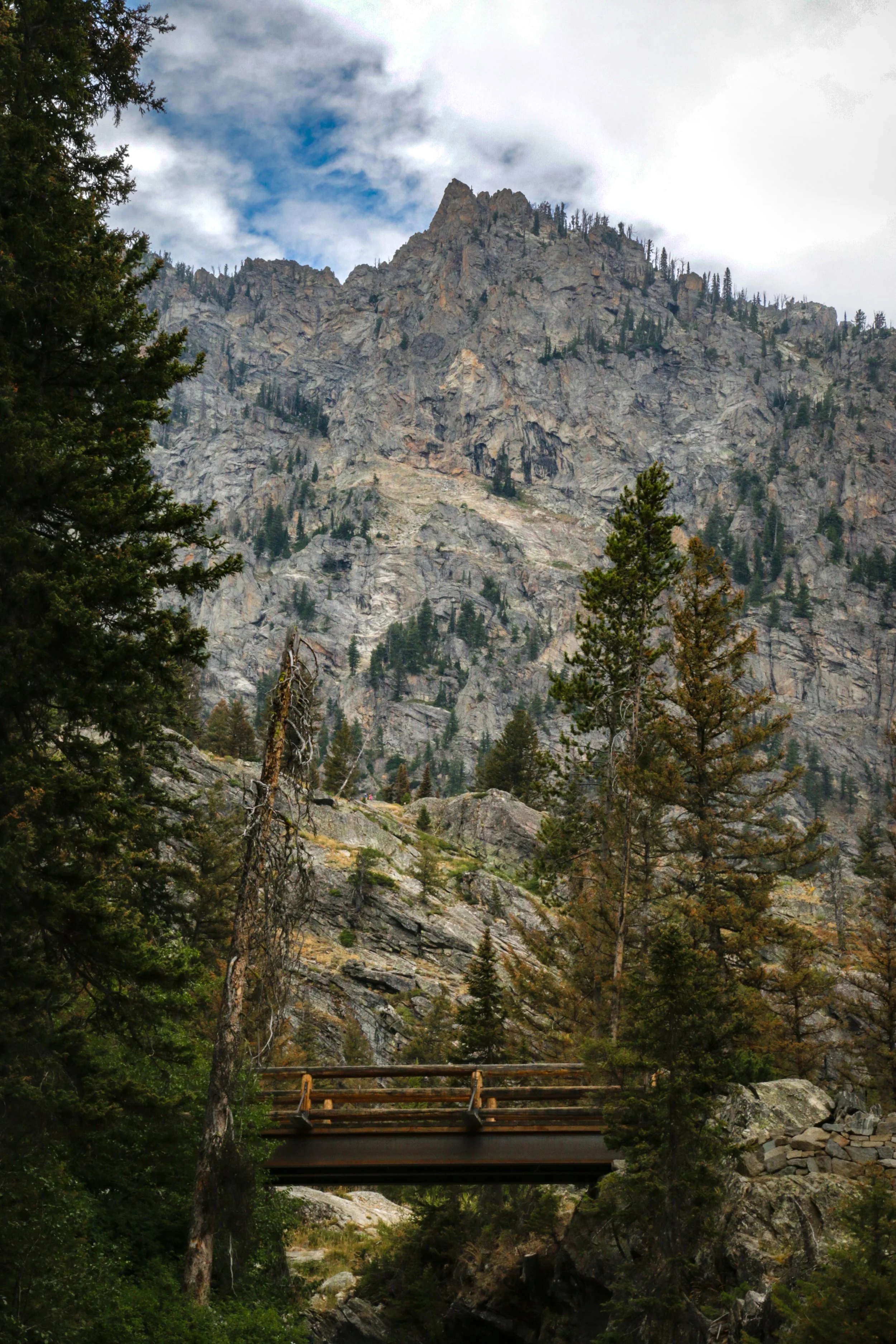 "Wooden Crossing" – Grand Teton National Park, Wyoming