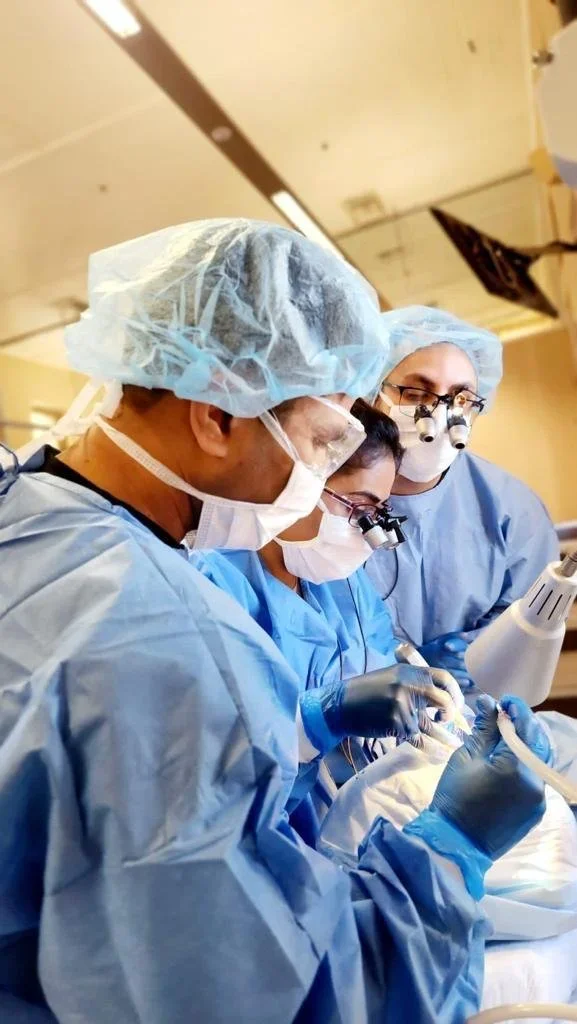 Clinical dental care delivered by Dr Nisha Bedi of Adelaide and her professional dental team