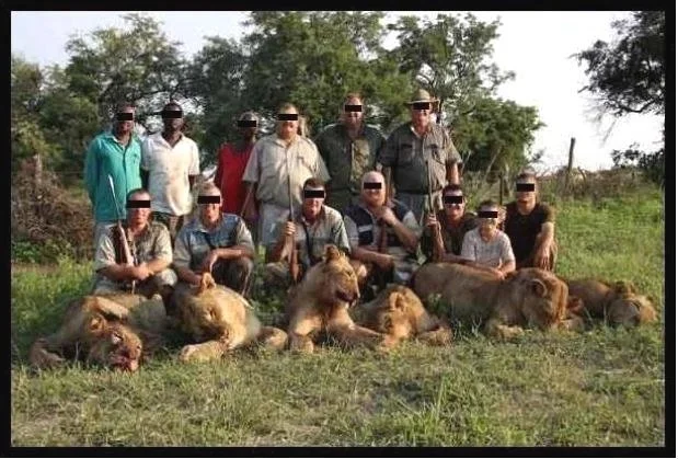 The tragedy of River Pride