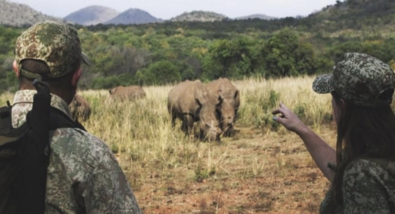 A man and woman in camouflage outfits and hats observing elephants in the wild with a lush landscape and mountains in the background.