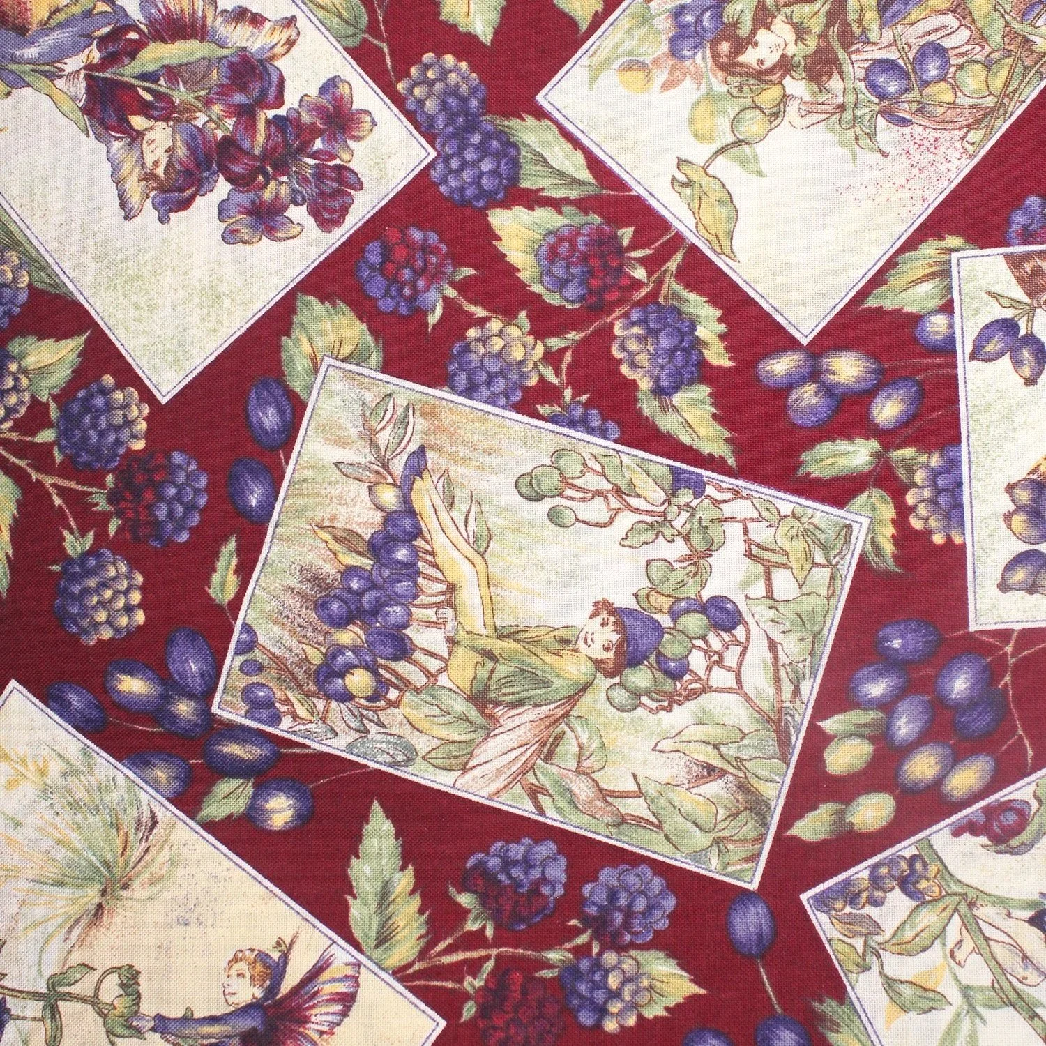 Garden Fairies in Cranberry
