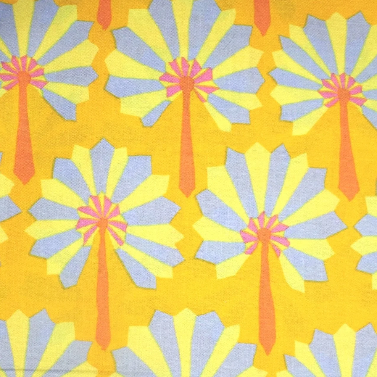 Palm Fan
