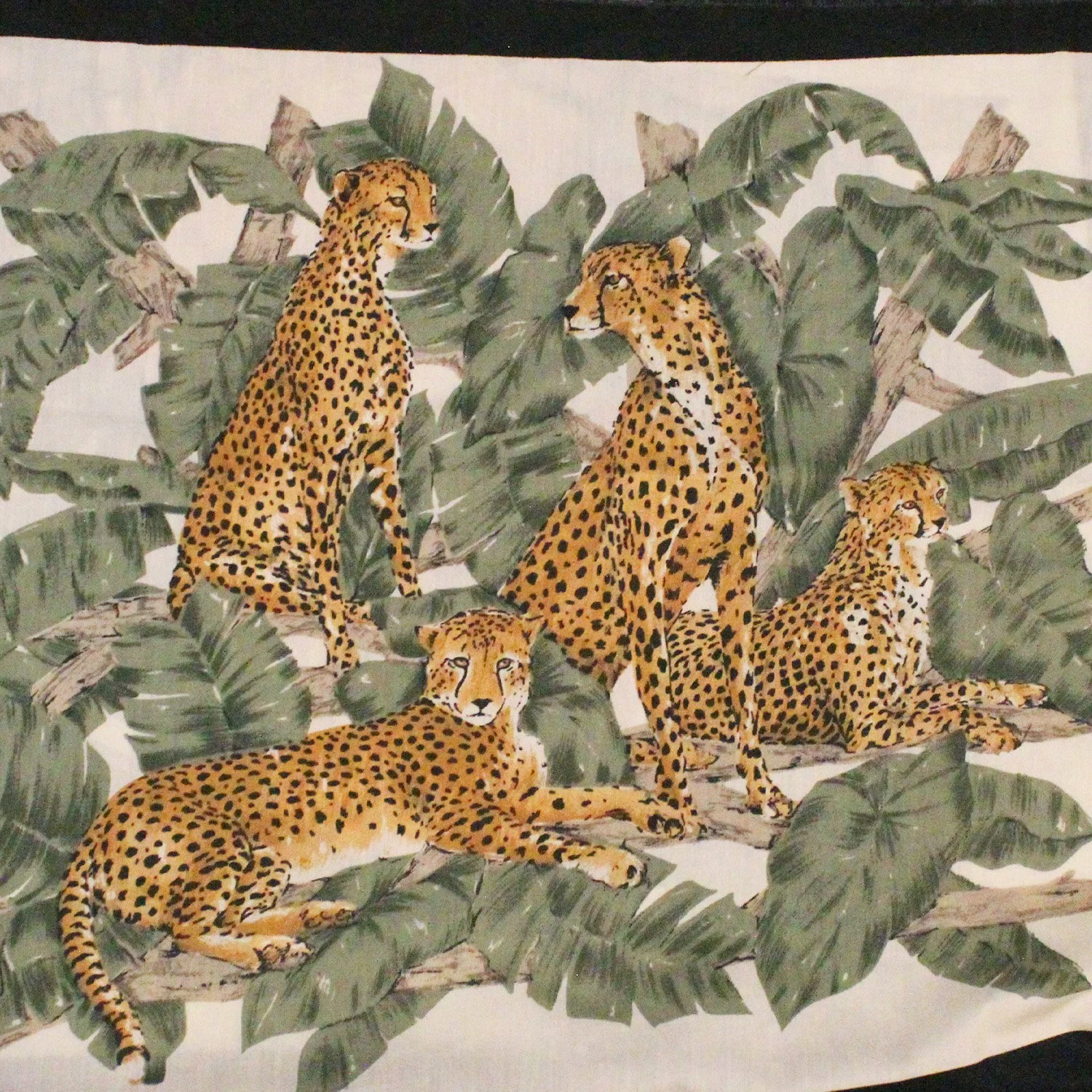 Cheetah Panel