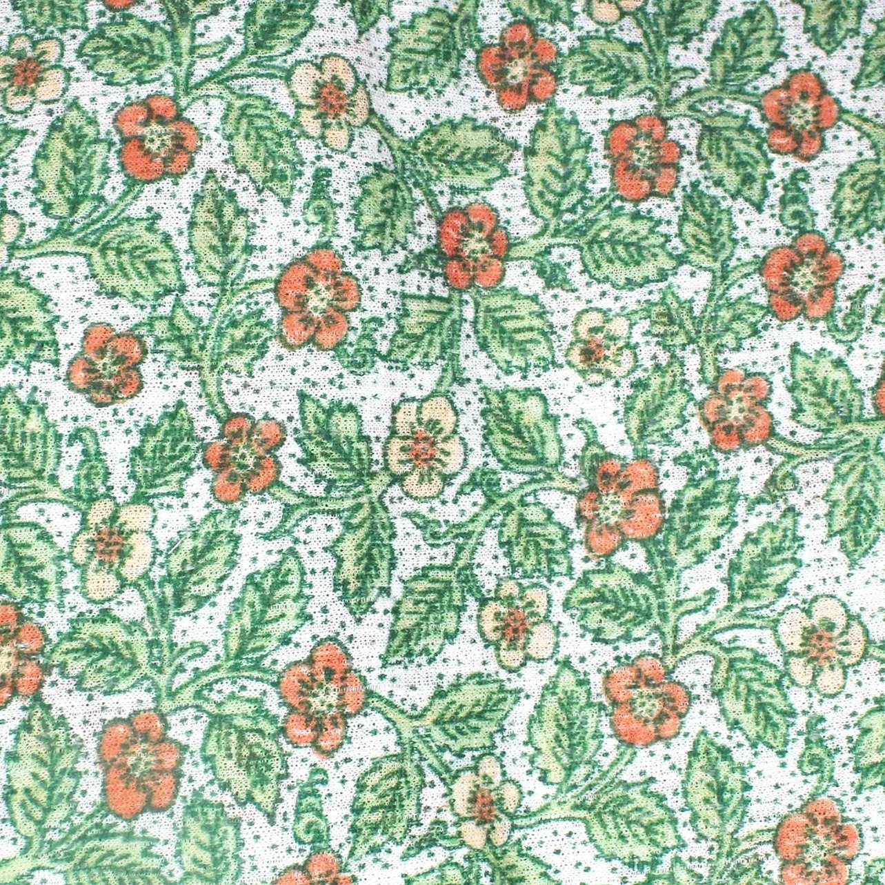Twining Orange Flowers
