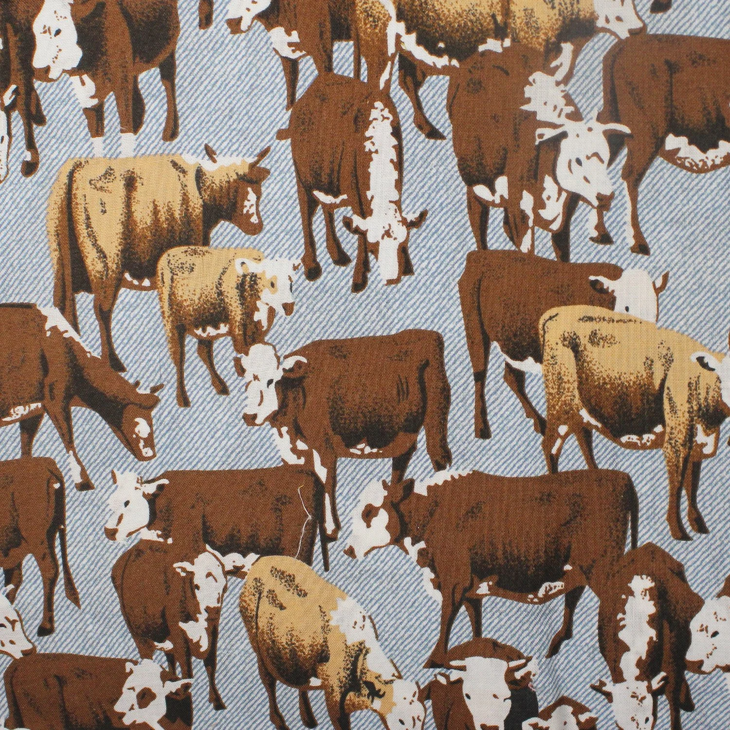 Cattle Drive