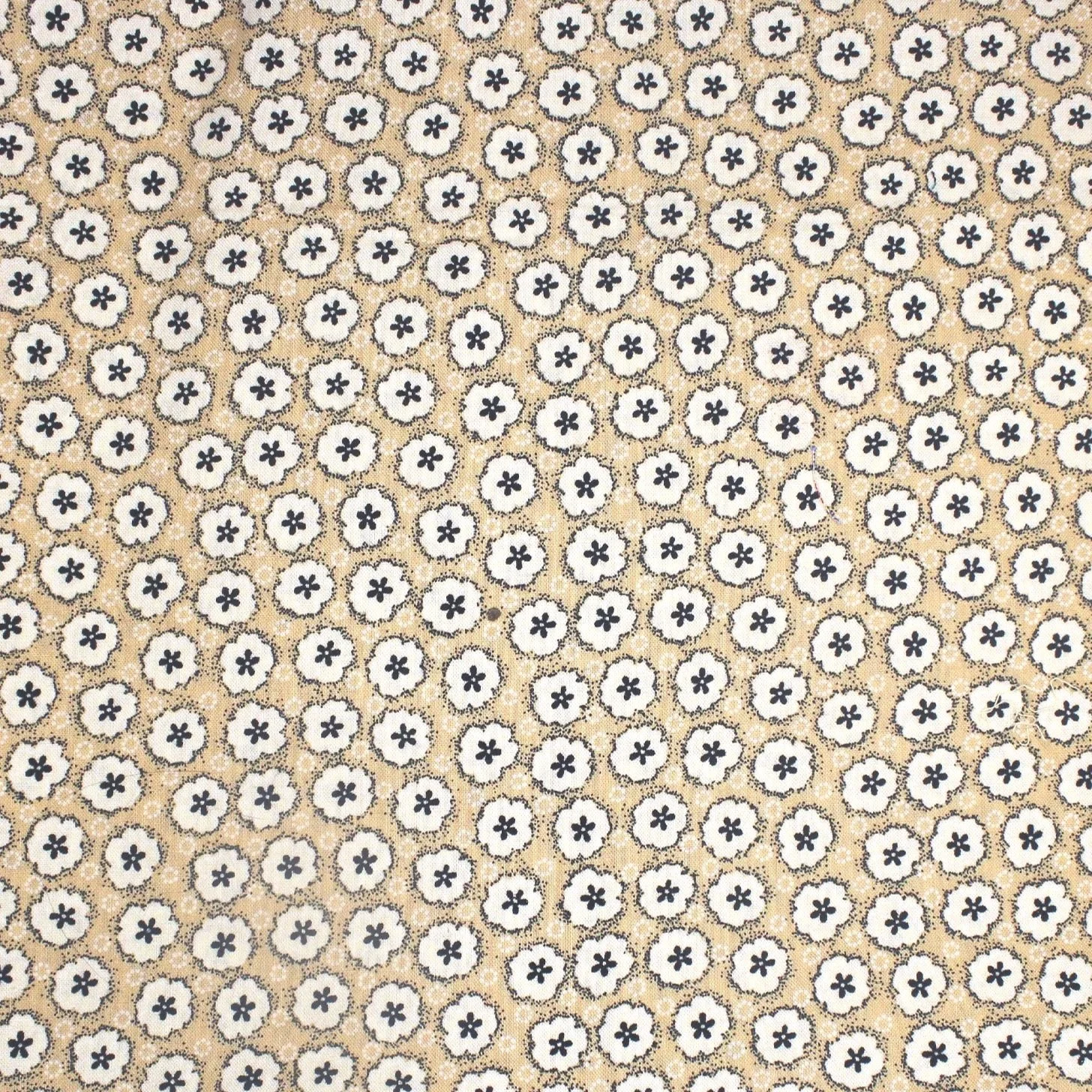Daisy Dots