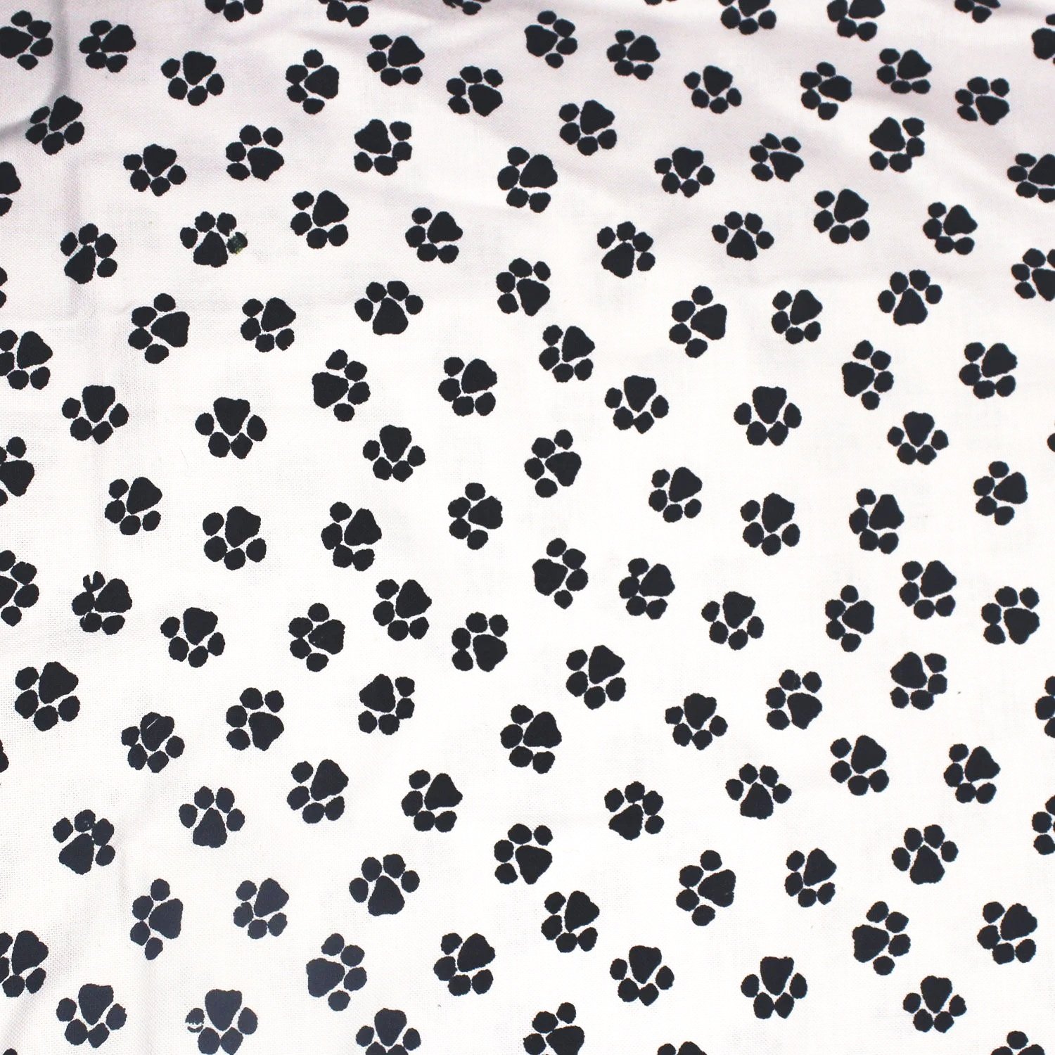 Pawprints
