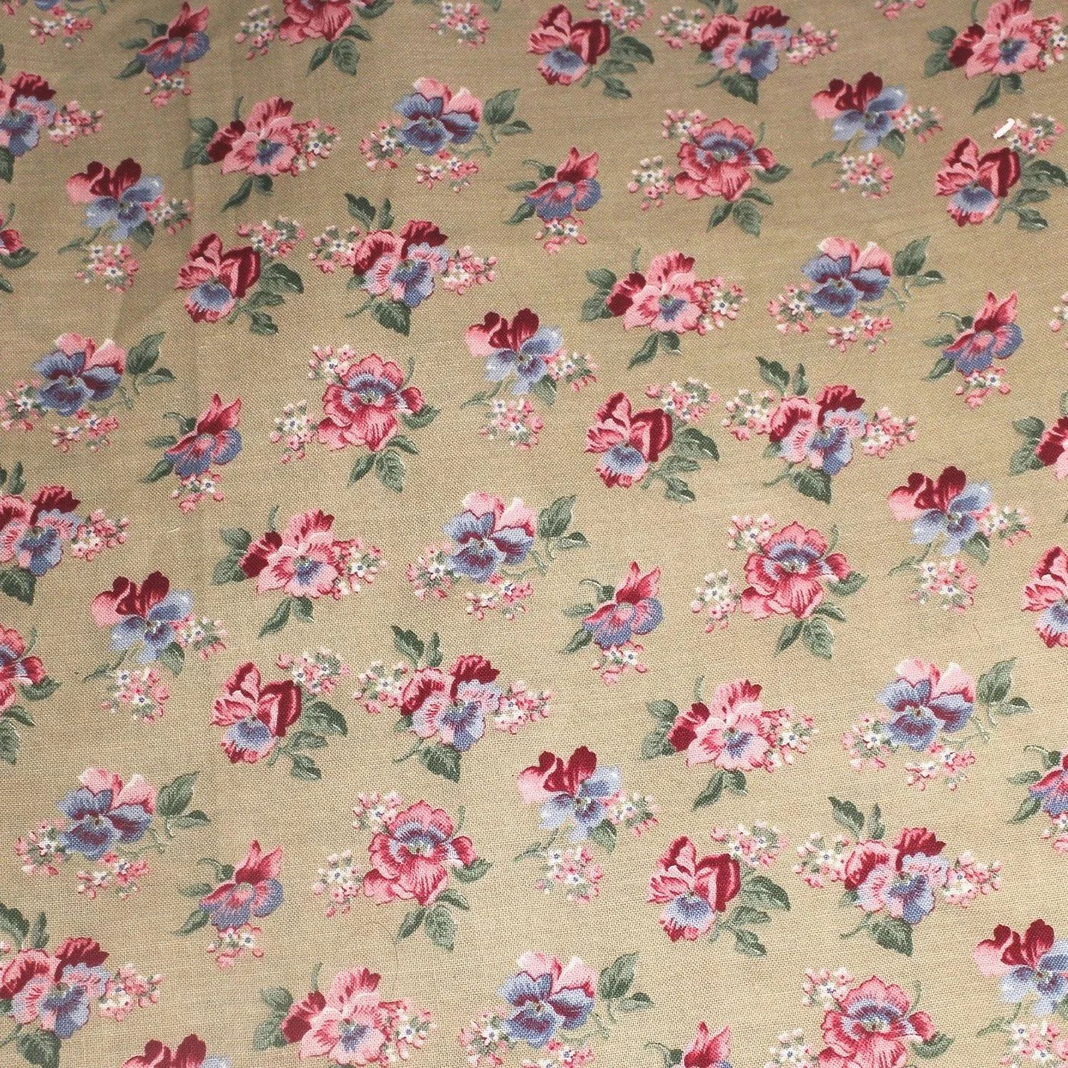 Country+rosebud.jpg
