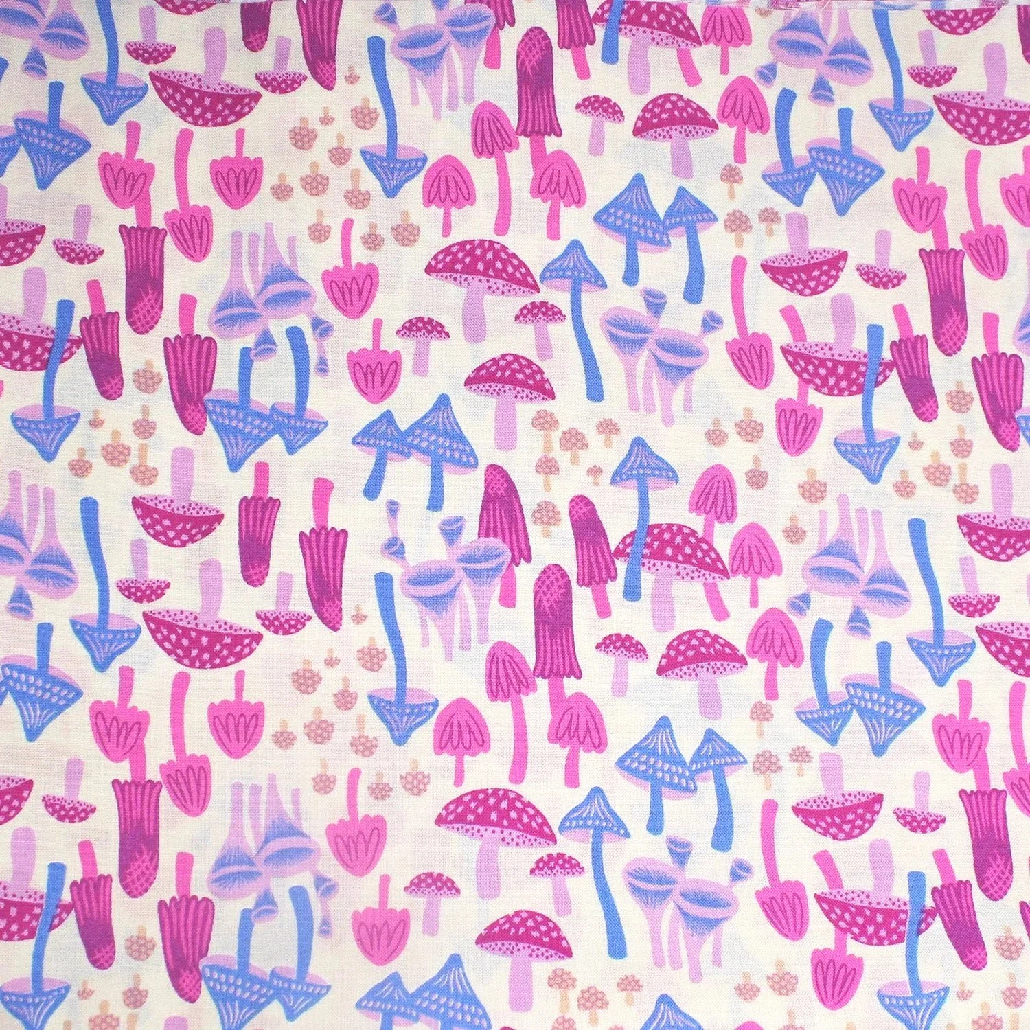 Mushroom Land