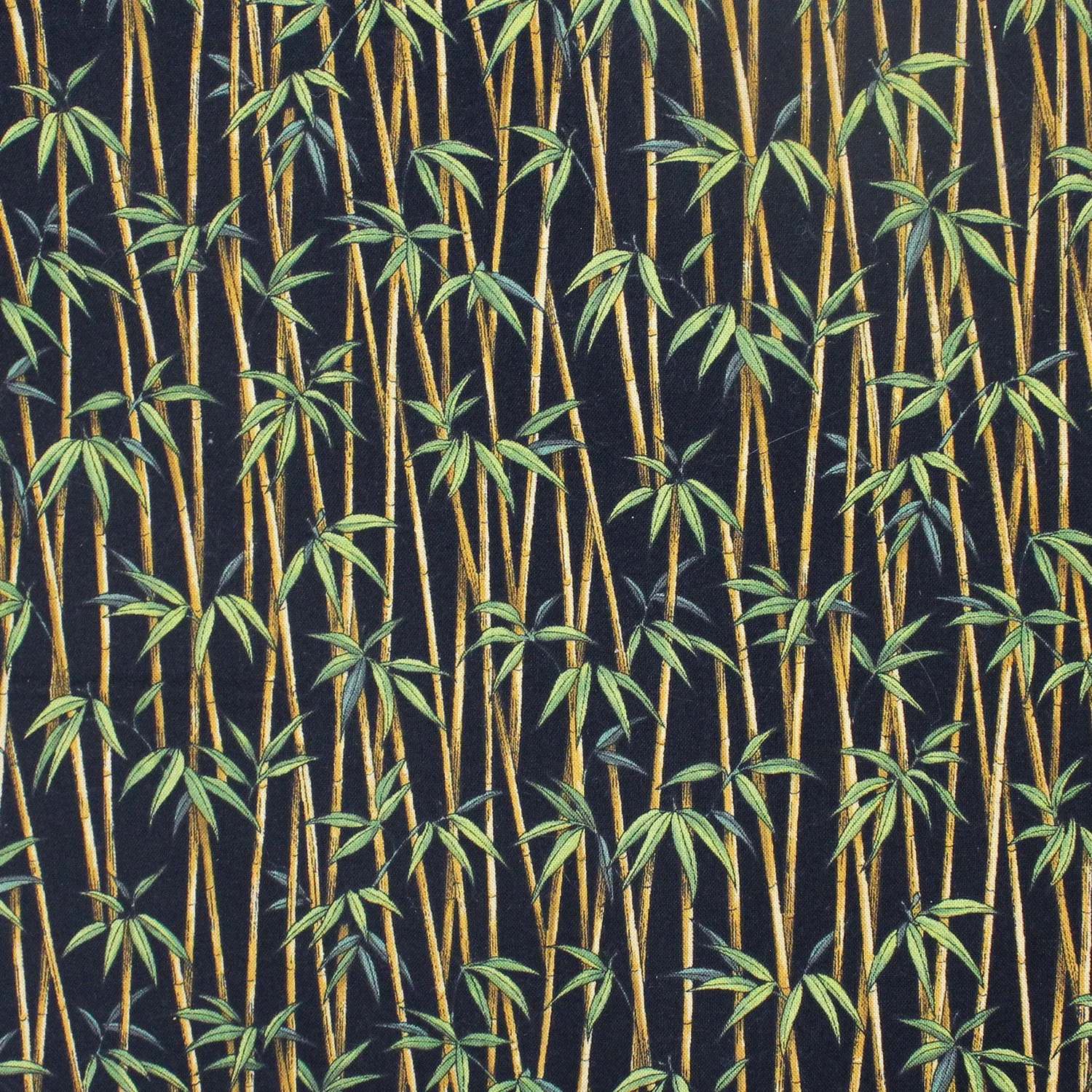 Bamboo on Black