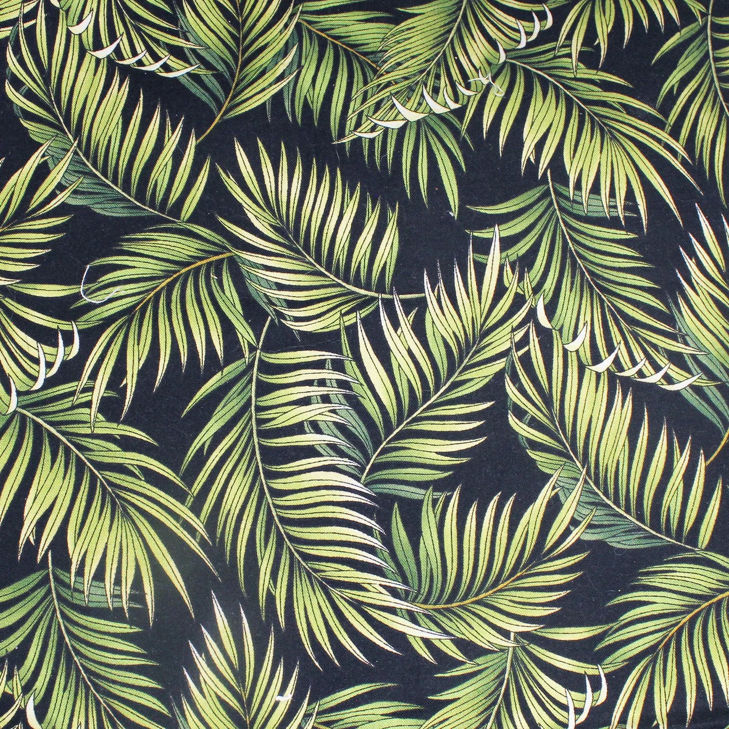 Palm Leaves