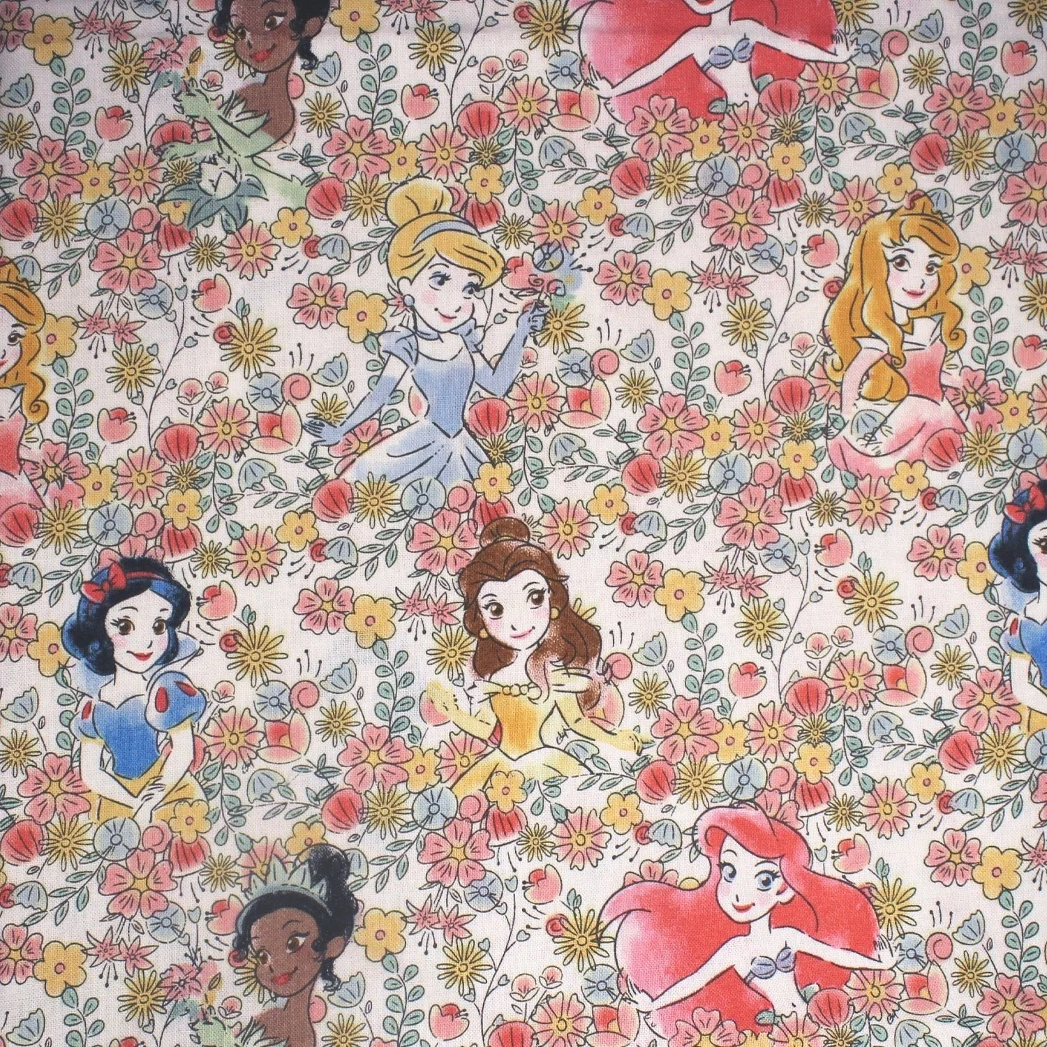 Disney Princesses