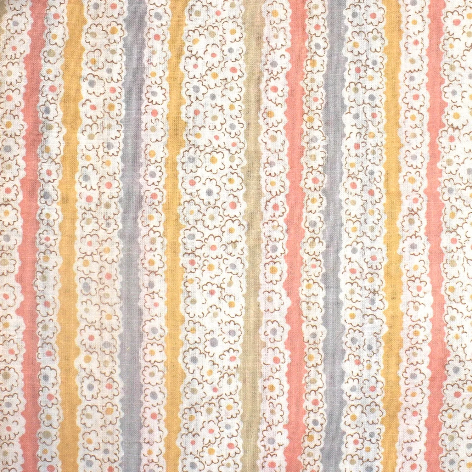 Rows of Daises