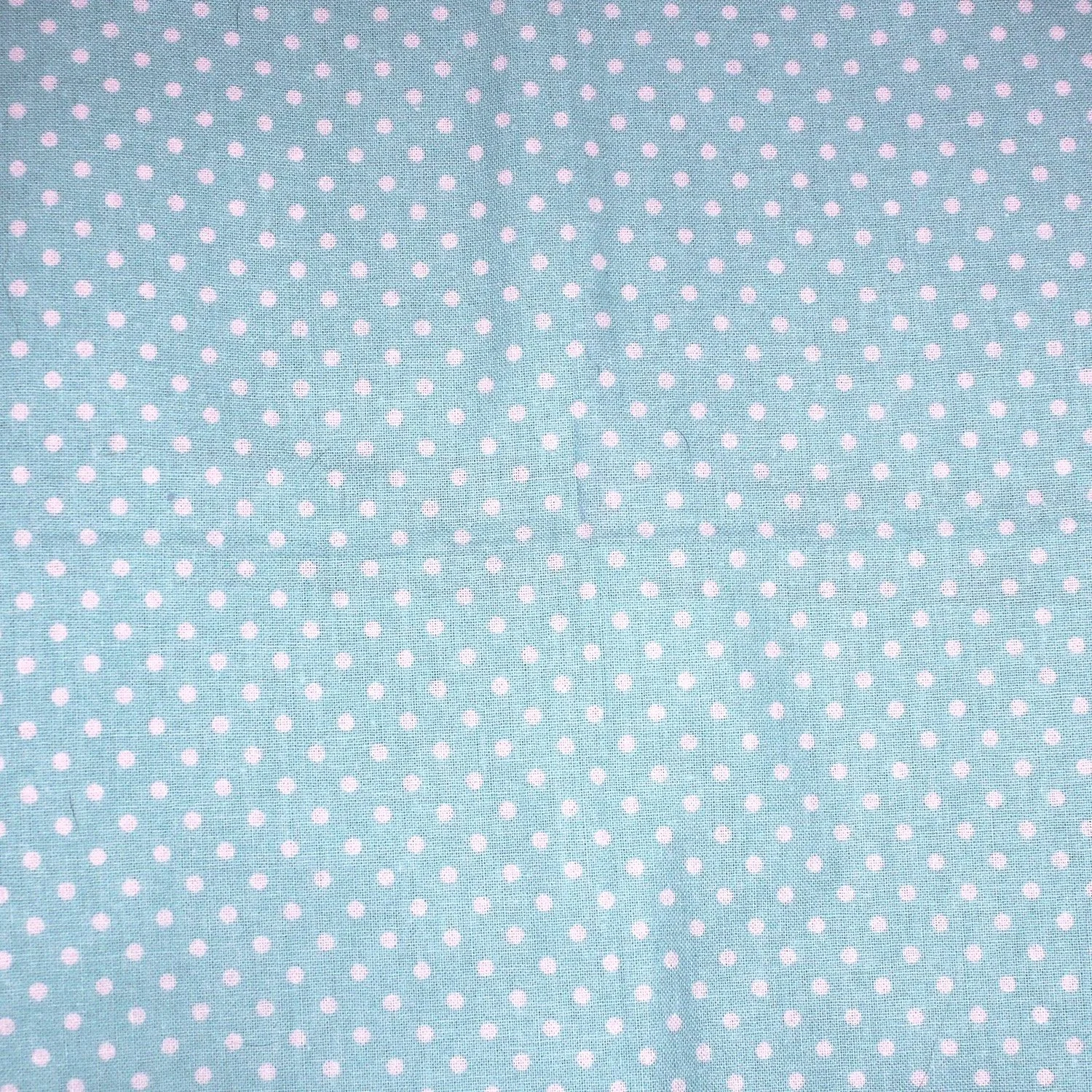 Baby Blue Polkadots