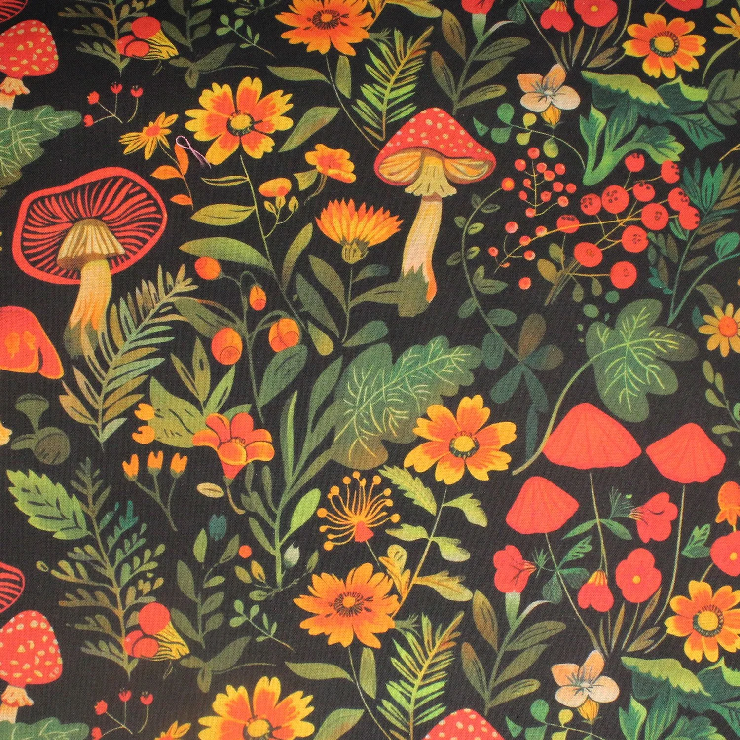 Fairytale Mushrooms