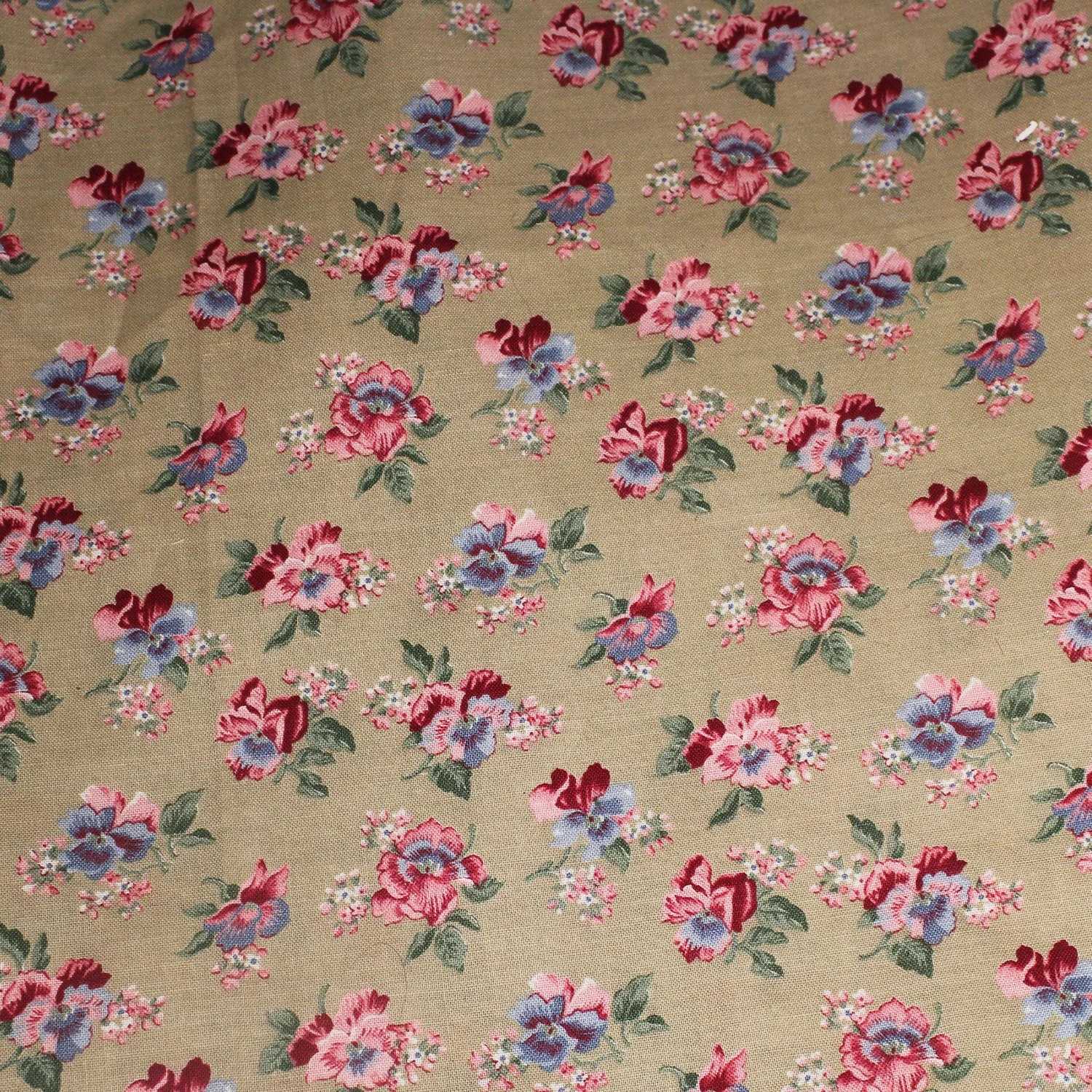 Country Rosebud