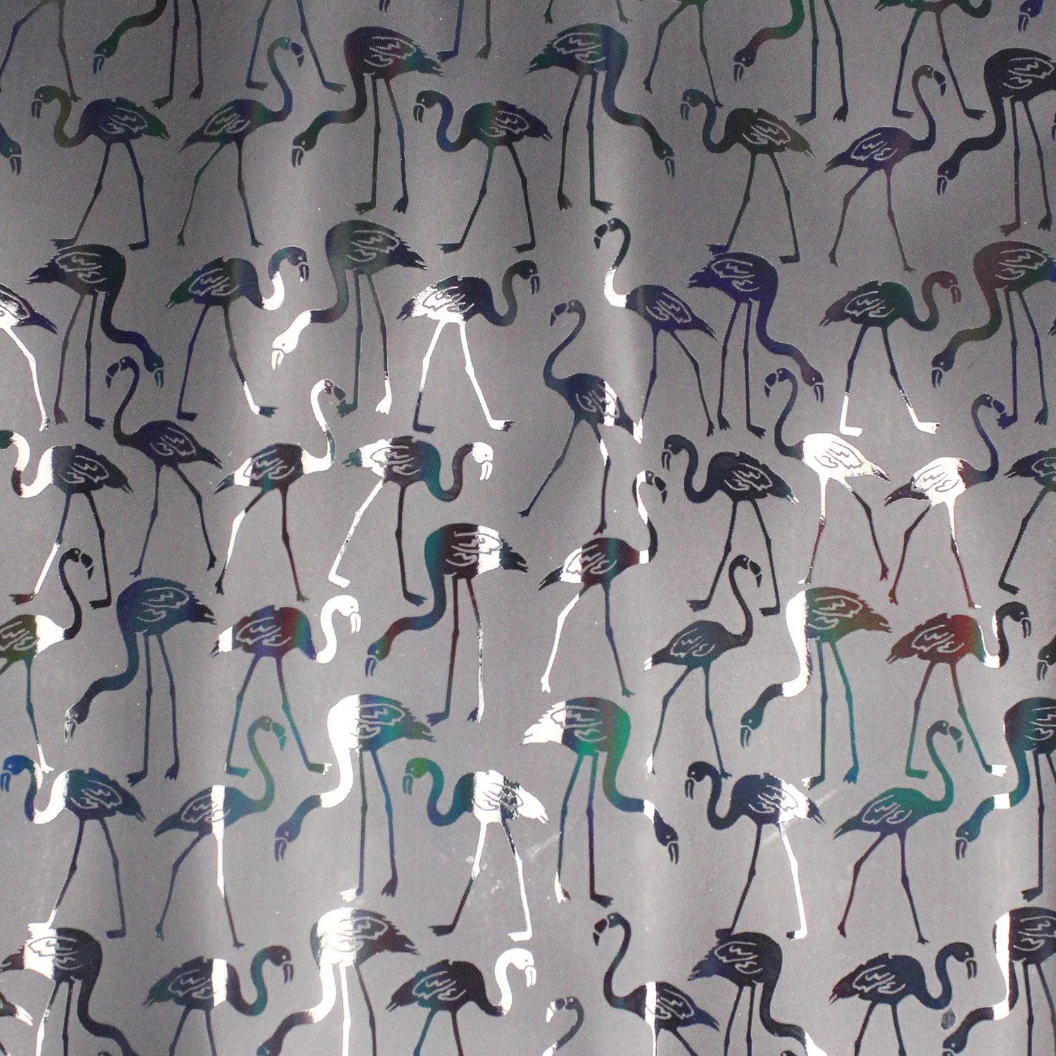 Black Flamingos