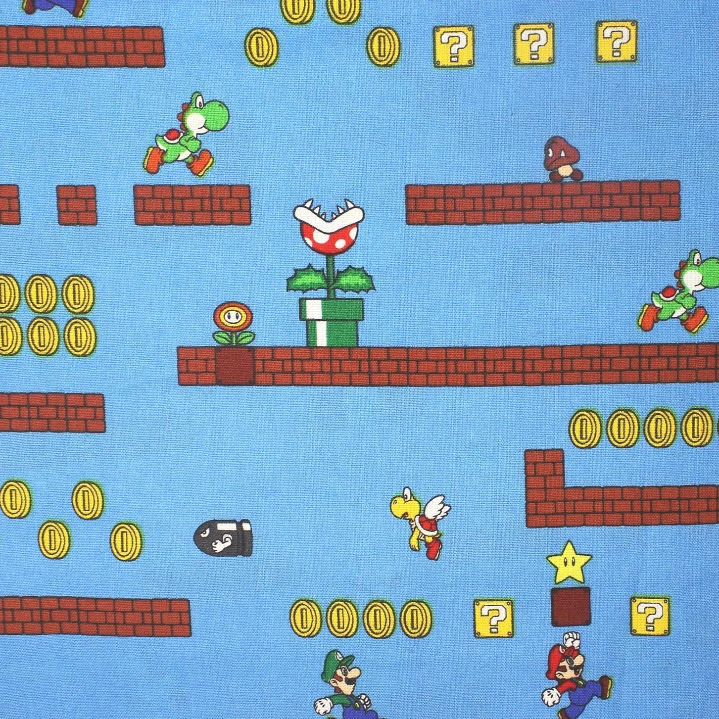 Super Mario Brothers
