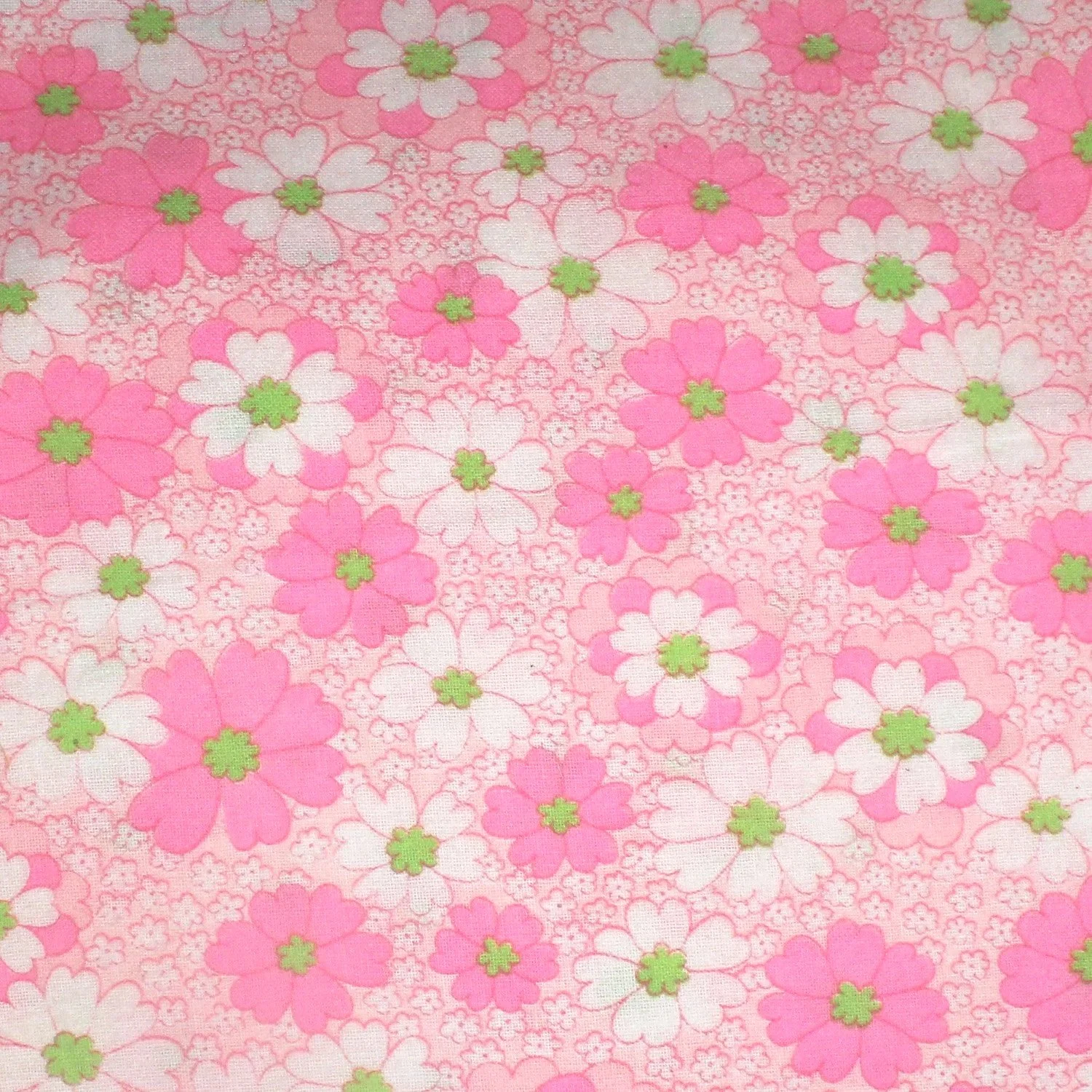 Neon Daisies