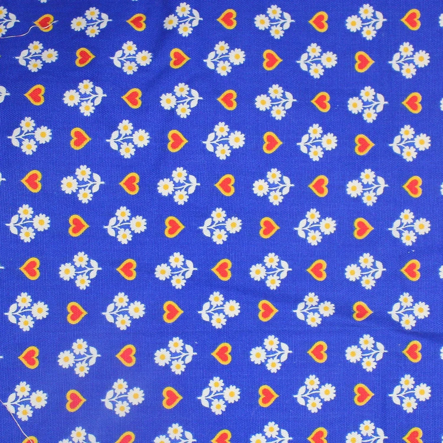 Daisy Hearts, Blue