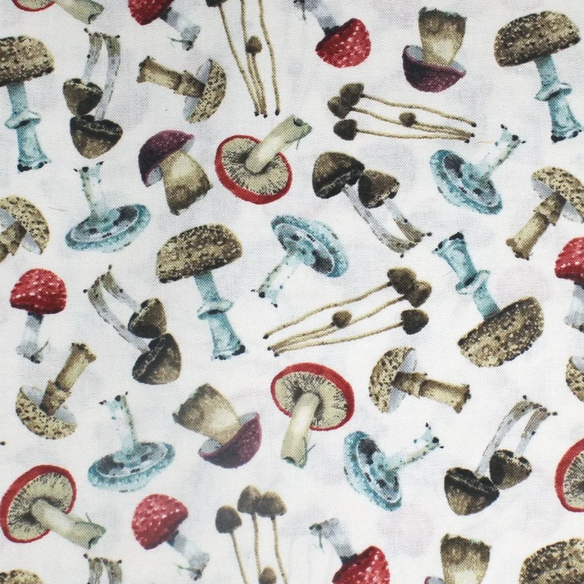 Mushrooms All Over