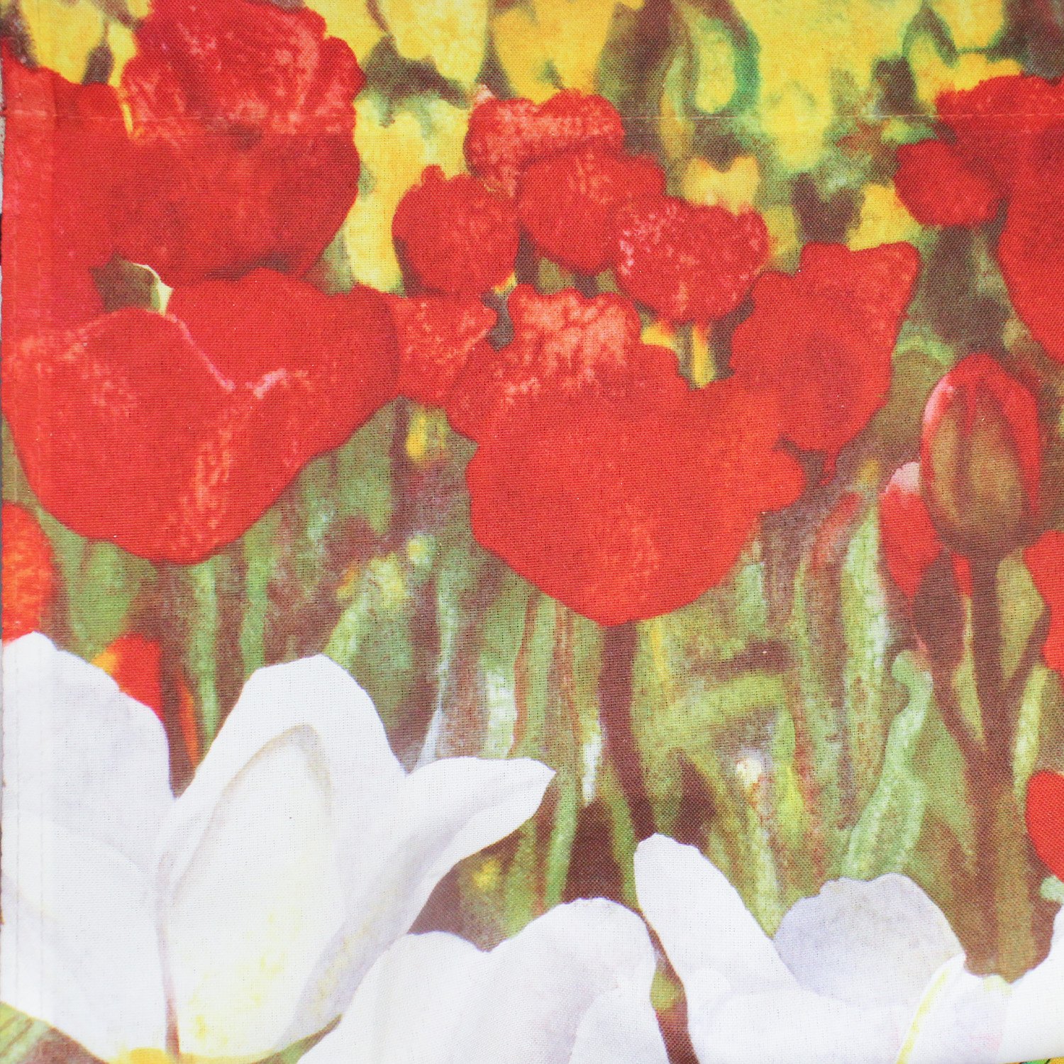 Poppies