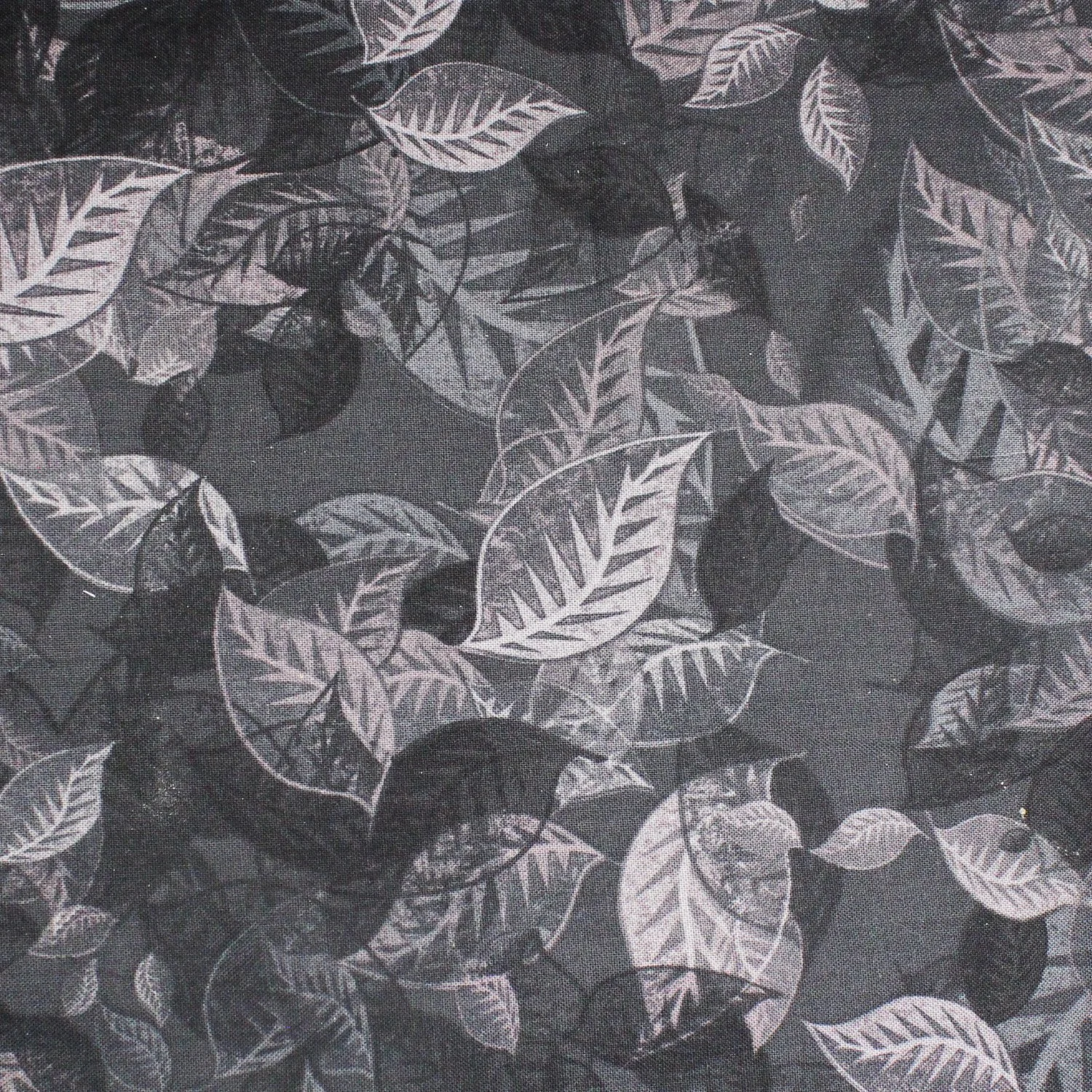Black and Gray Leaves