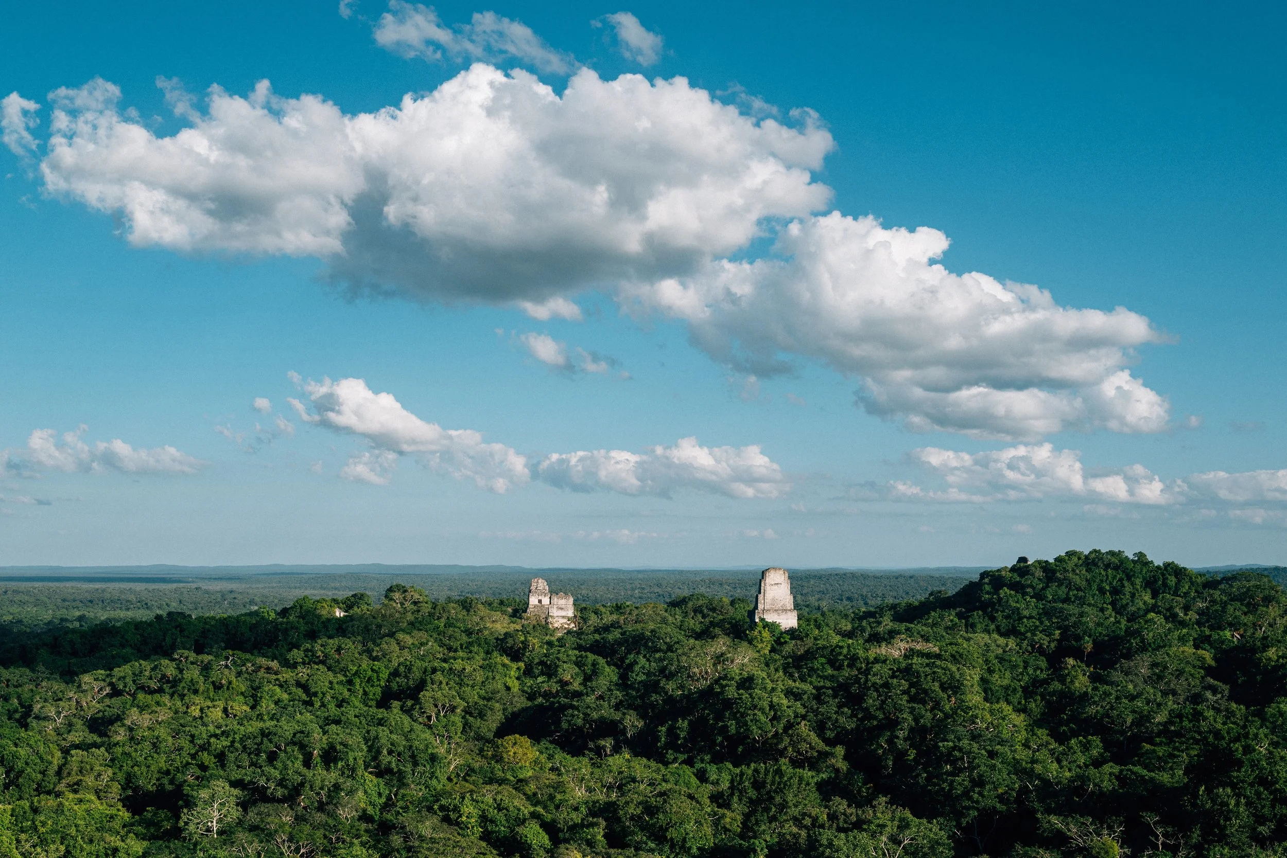 Lush green jungle landscape with ancient Mayan pyramids in the distance under a blue sky with white scattered clouds.